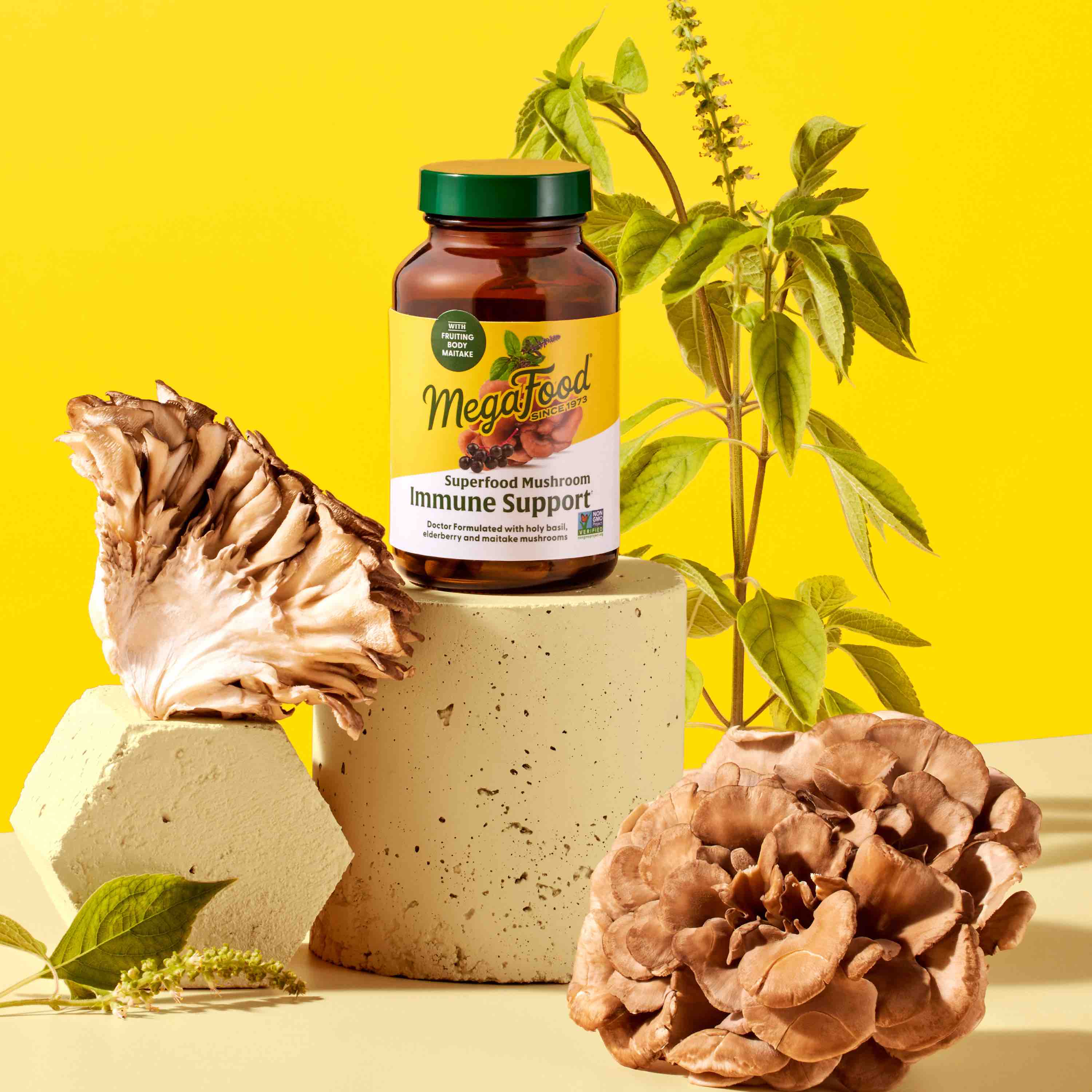 Superfood Mushroom - Immune Support - Image 3