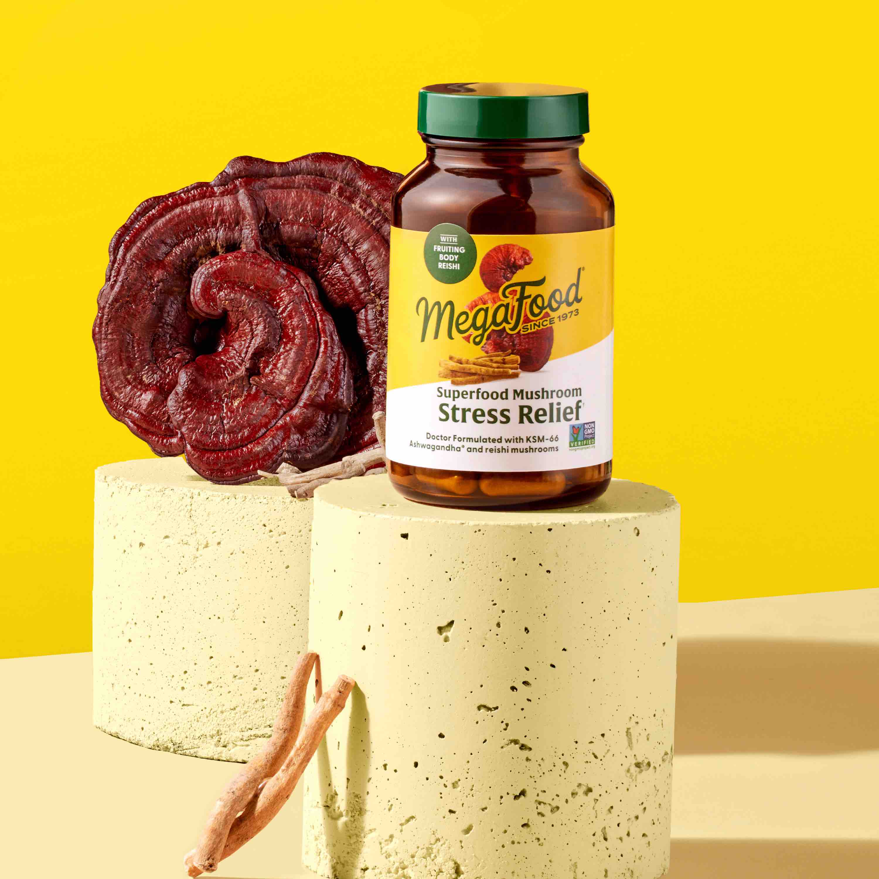 Superfood Mushroom - Stress Relief - Image 3
