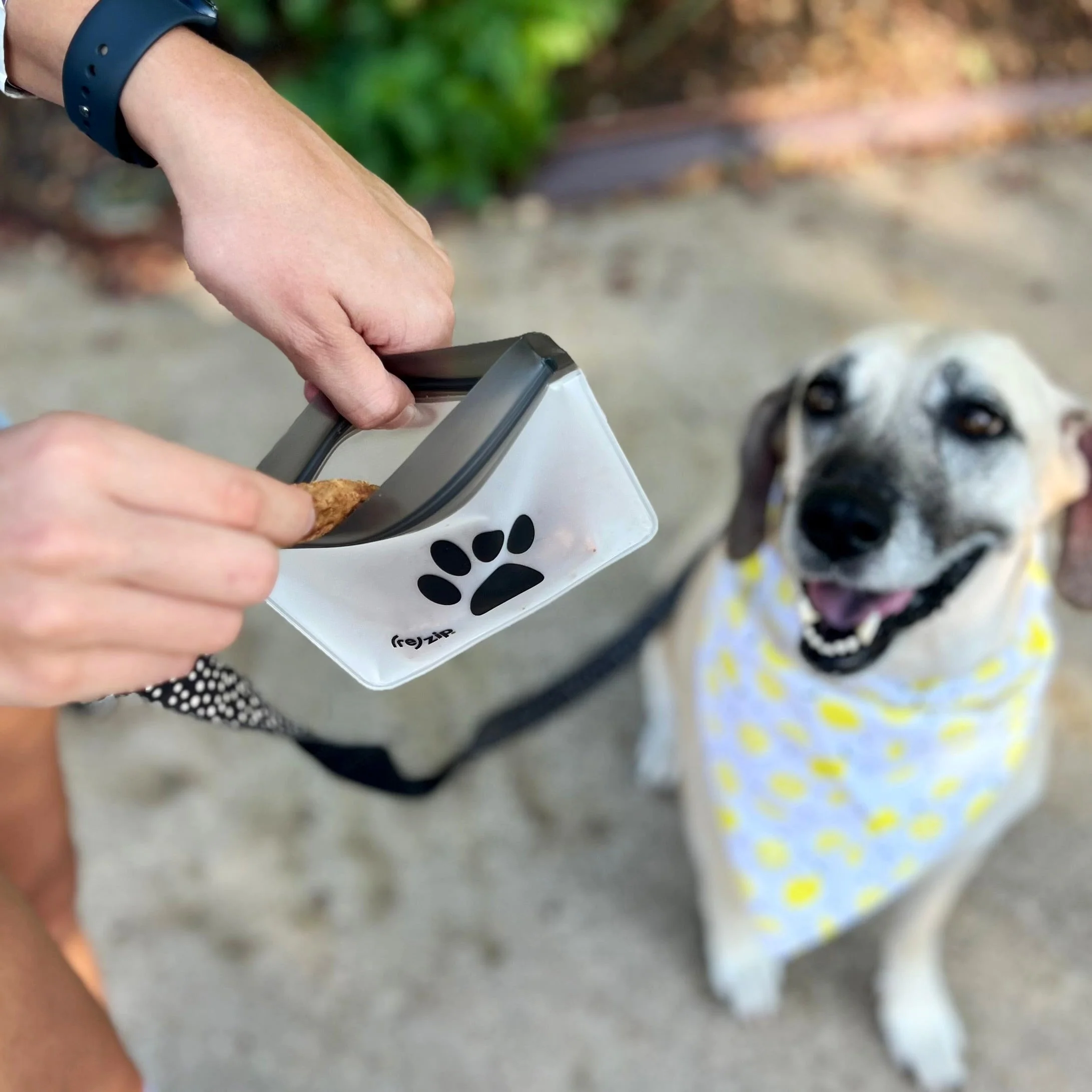 Take Me Too Pet Bag + Carabiner - Image 6