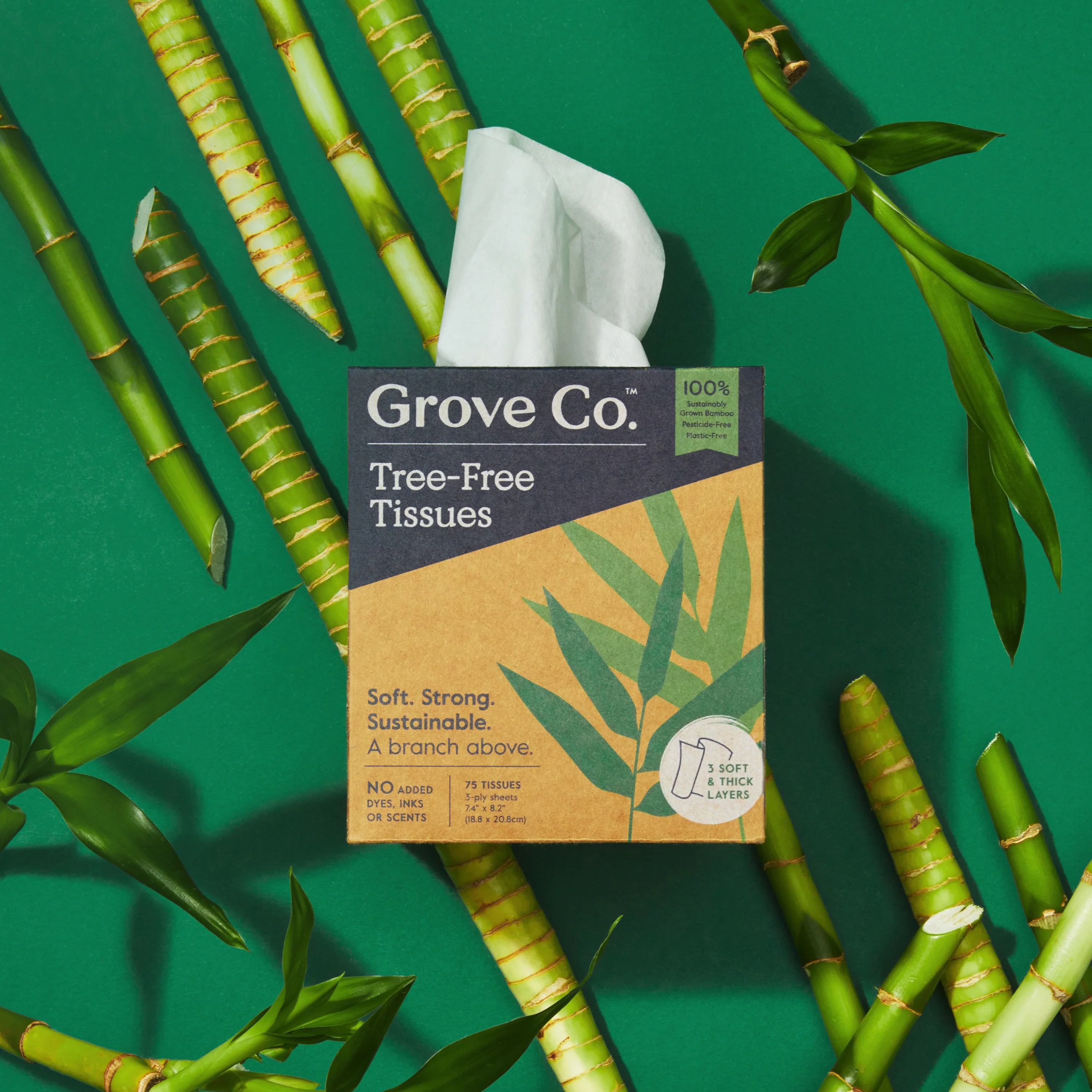 [TEST] [DON'T BUY] 3-Ply Bamboo Facial Tissues (75 sheets per box) (Copy) - Image 7