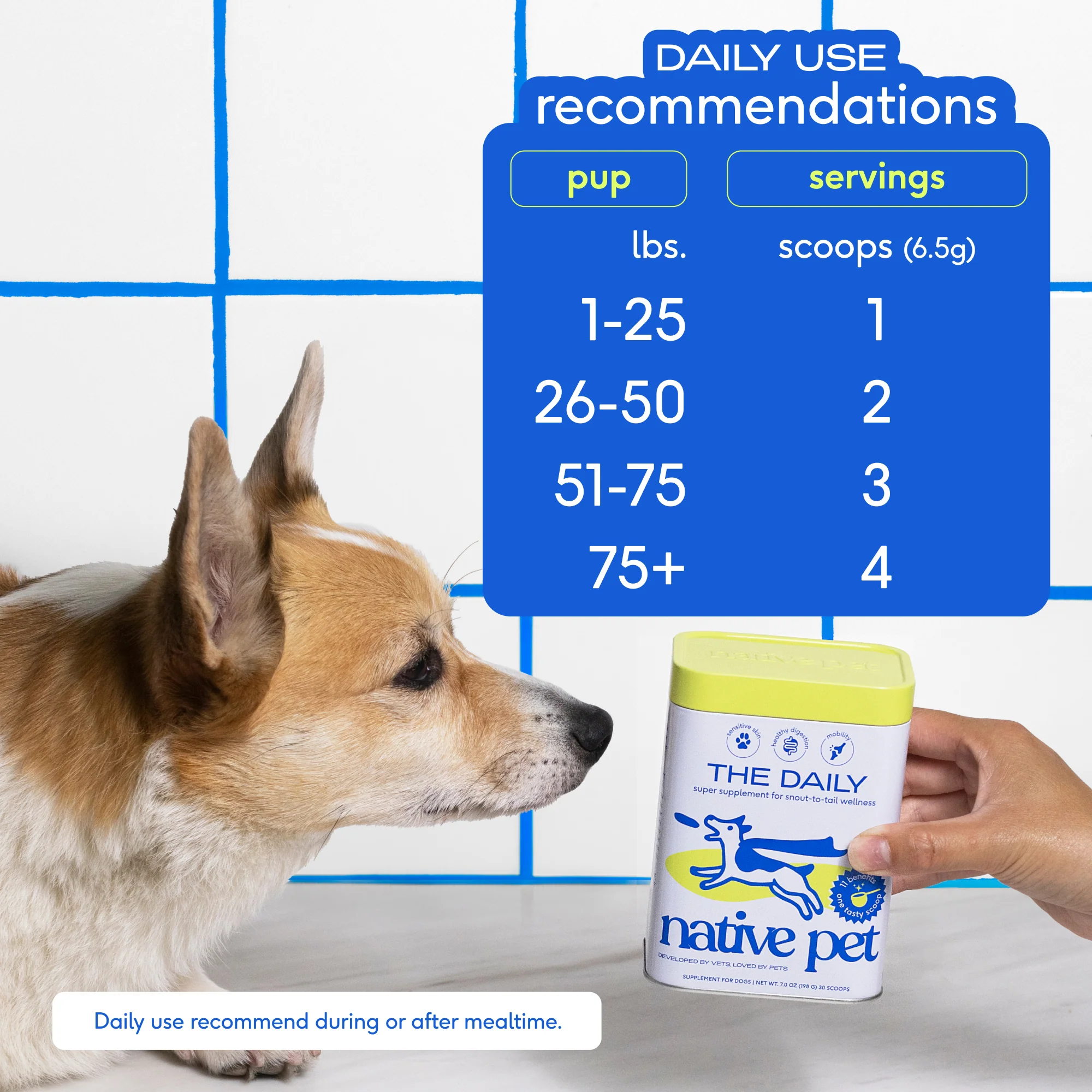 The Daily Multivitamin for Dogs - Image 7