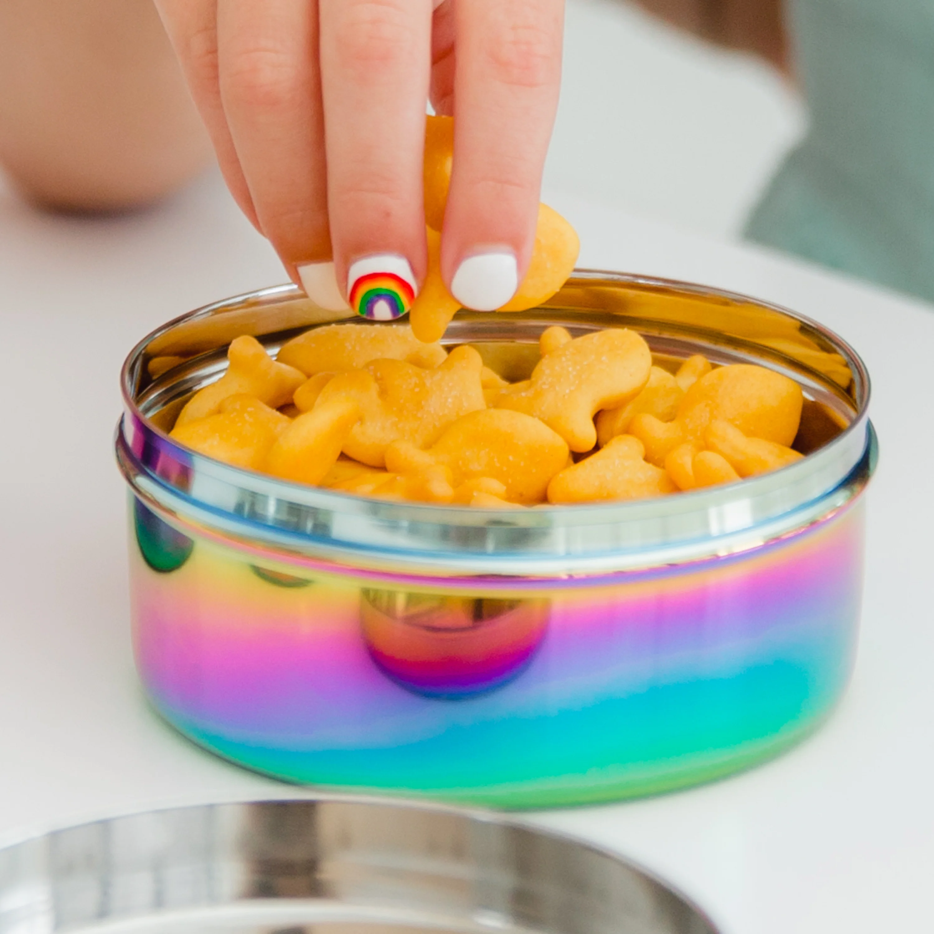 The Large Circle - Stainless Steel Food Storage Container - Image 4