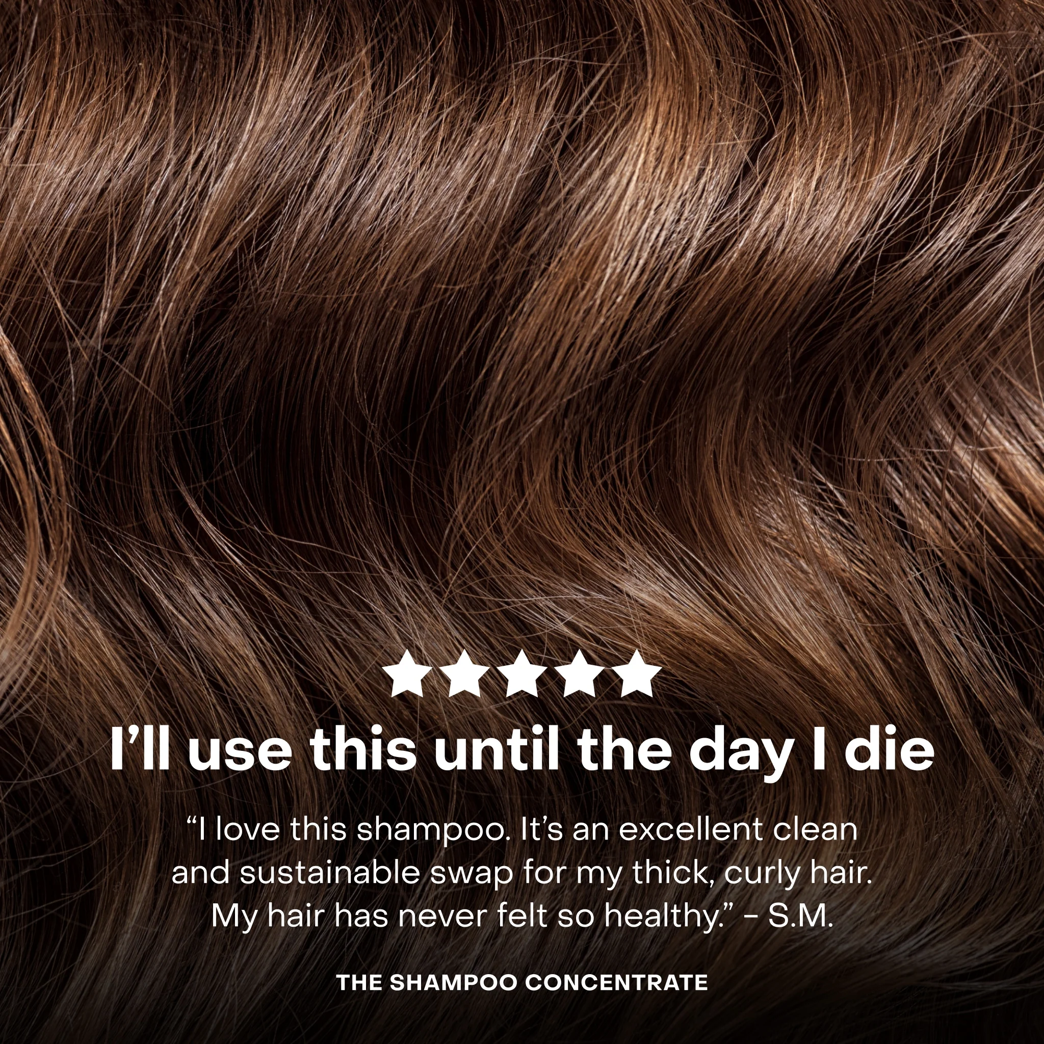 The Shampoo Concentrate Travel Mini - Image 10