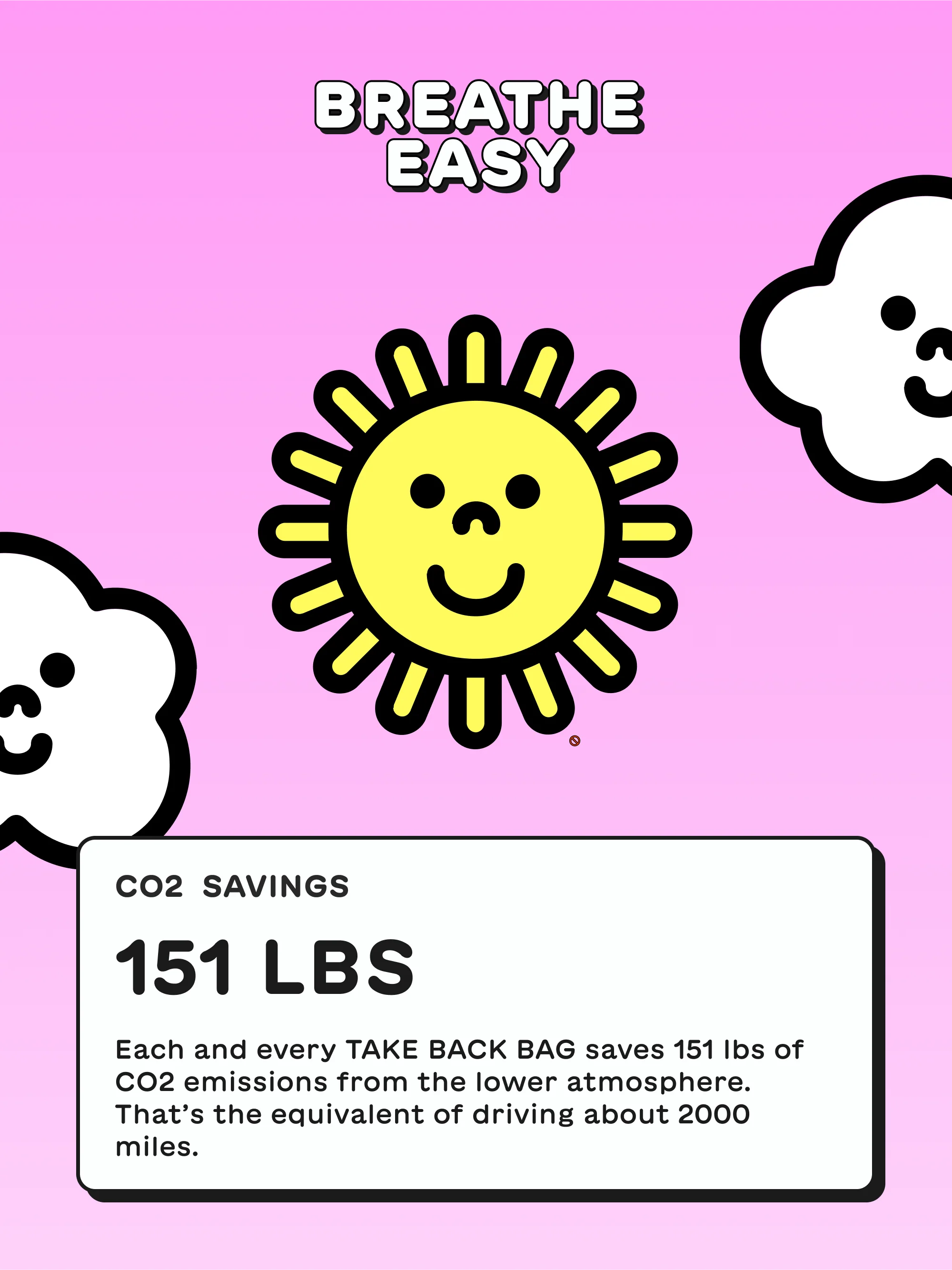 The Take Back Bag - Image 4