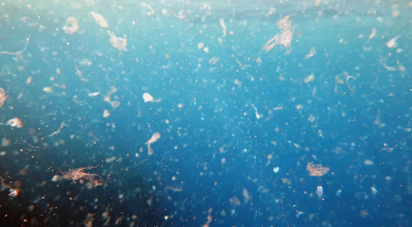 The Unplastic Your Life Educational Campaign - Image 3