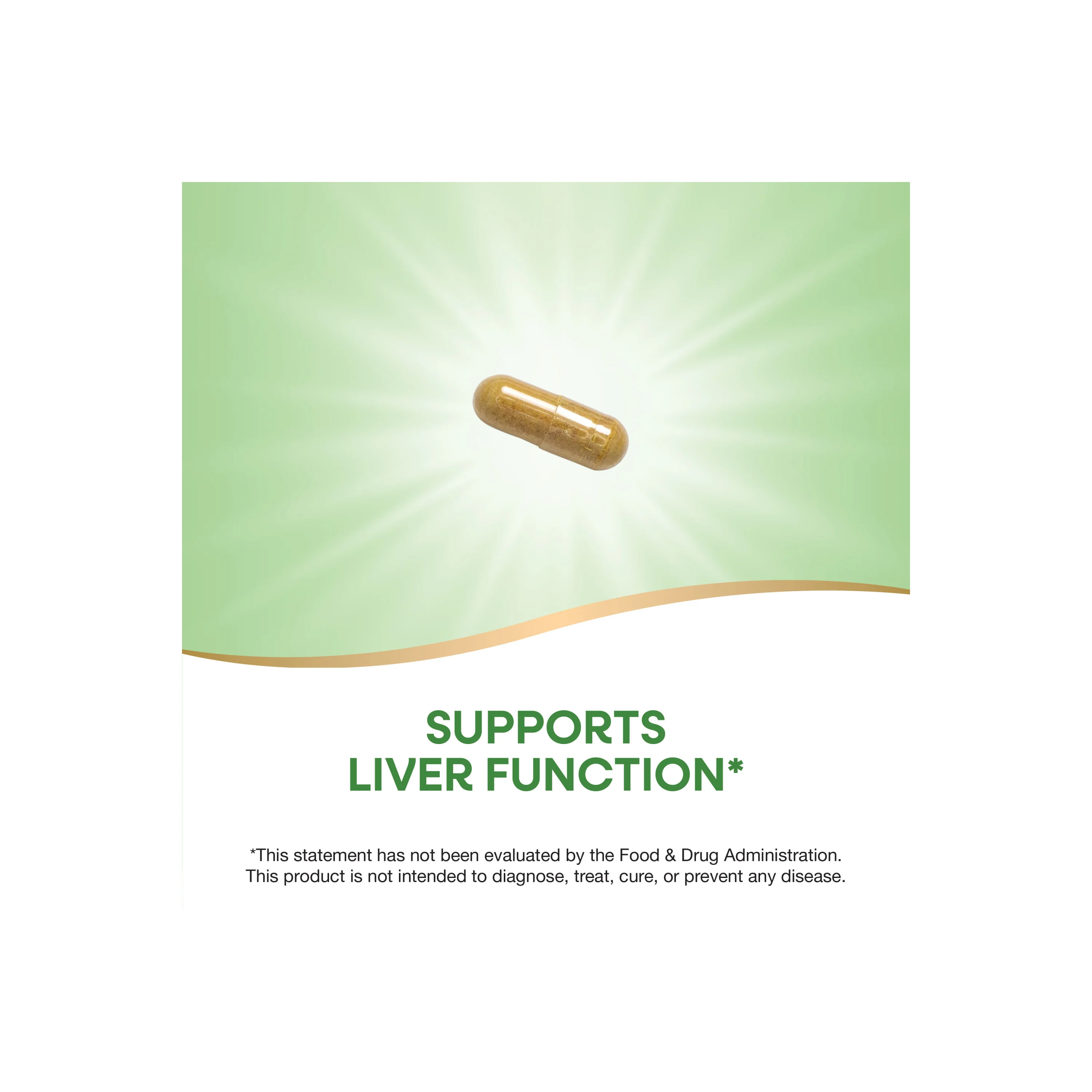 Thisilyn® Milk Thistle Extract - Image 11