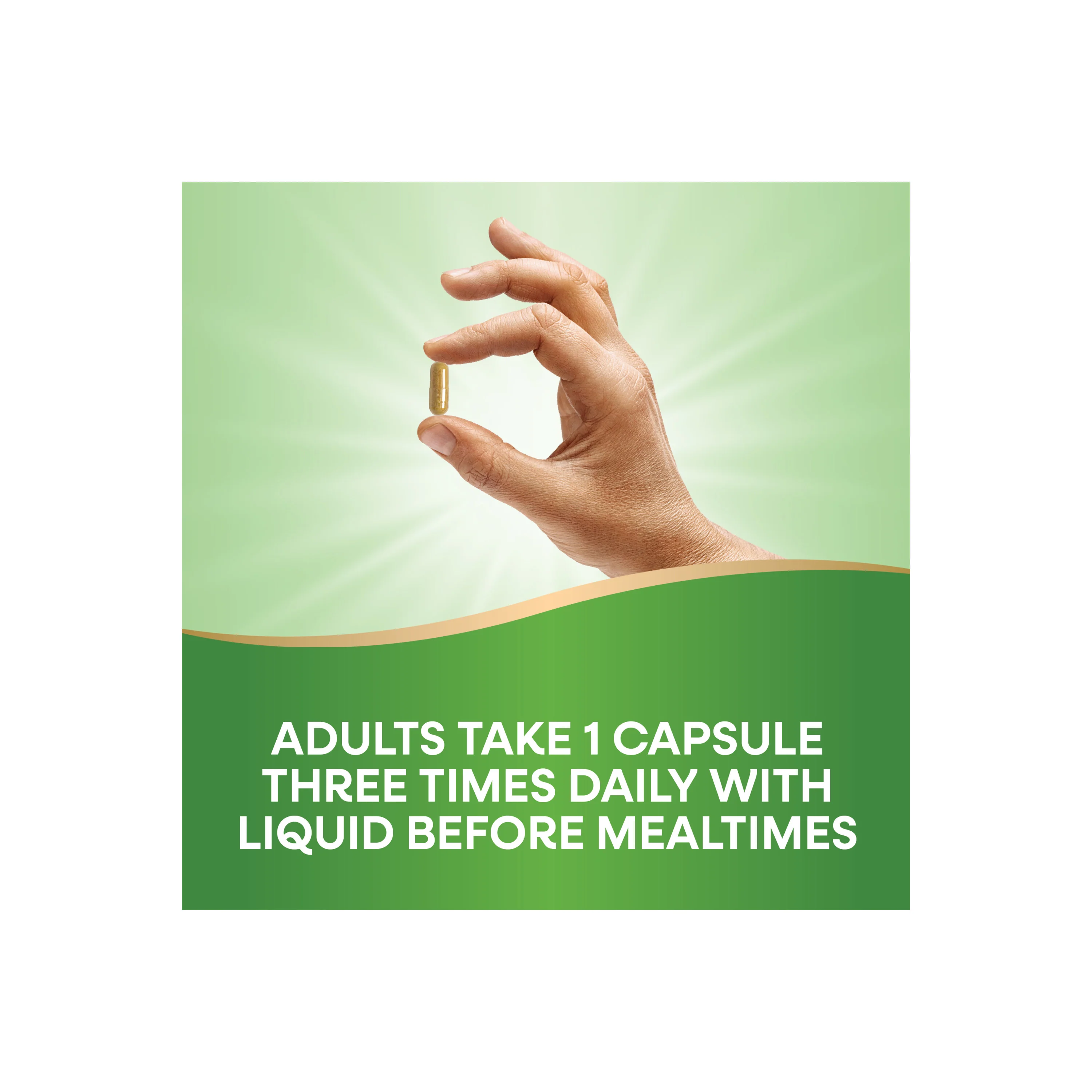 Thisilyn® Milk Thistle Extract - Image 4