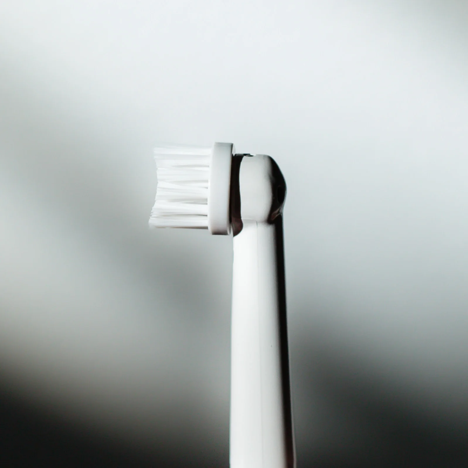 Toothbrush Head Replacement - Oral-B - Image 3