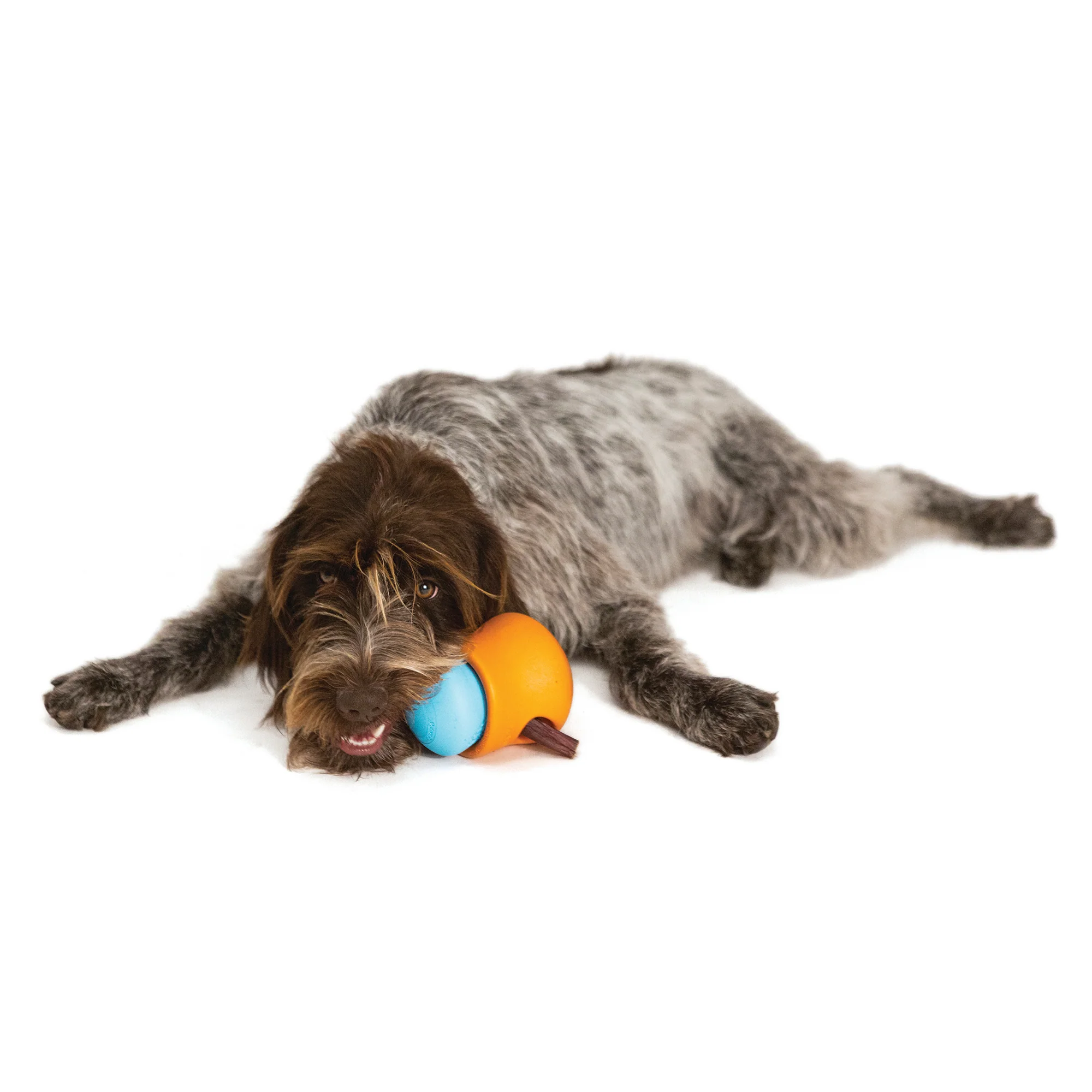 Toppl™ Treat Dispenser Dog Toy to Promote Mental Stimulation and Slow Eating - Small - Image 6