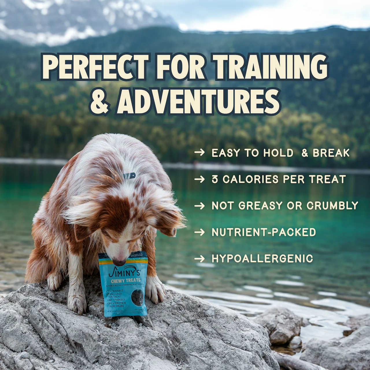 Chewy Peanut Butter & Cranberry Training Treats - Image 4