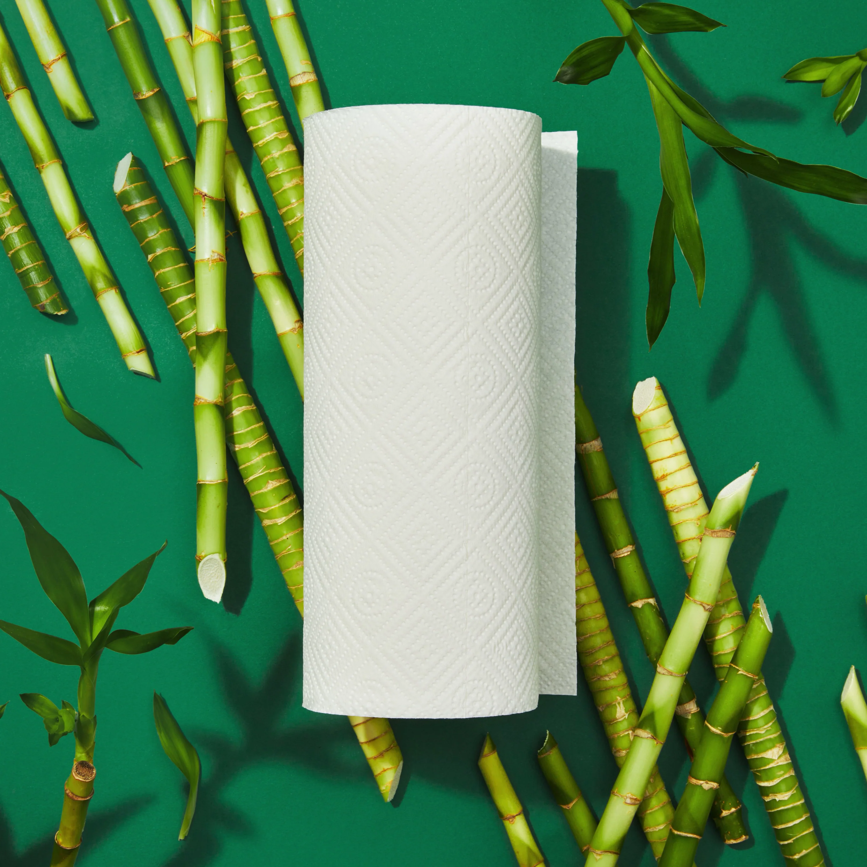 2-Ply Bamboo Paper Towels (140 sheets per roll) - Image 17