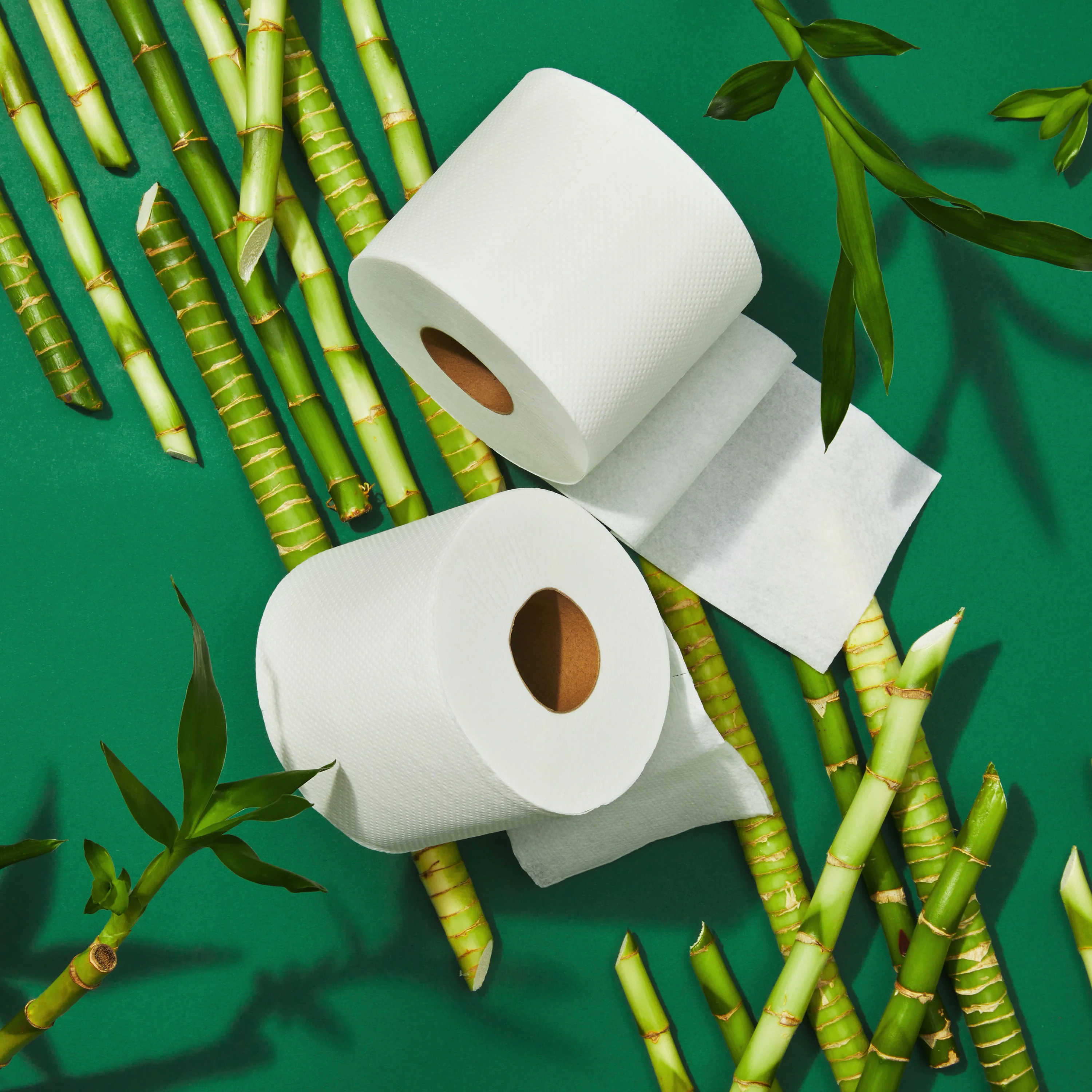 3-Ply Bamboo Toilet Paper (400 sheets per roll) - Image 17