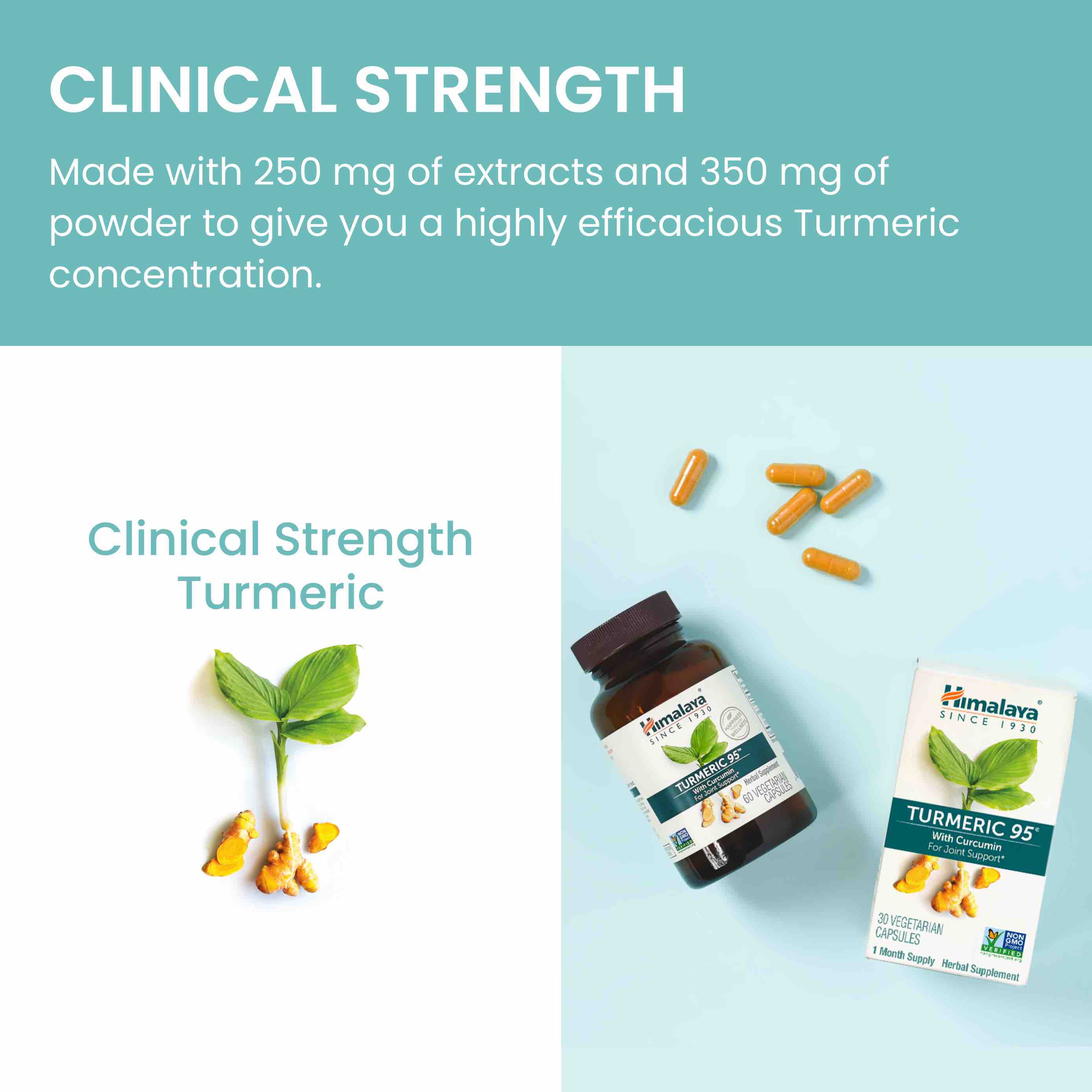 Tumeric - Image 5