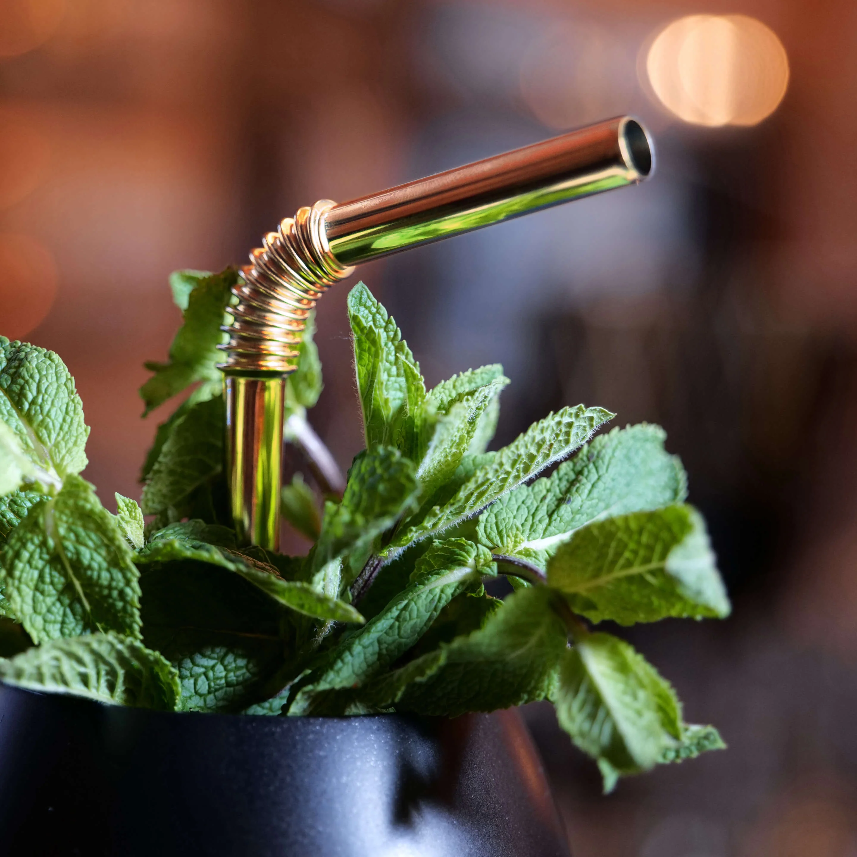 Turtleneck Stainless Steel Bendable Straw Set - Image 8
