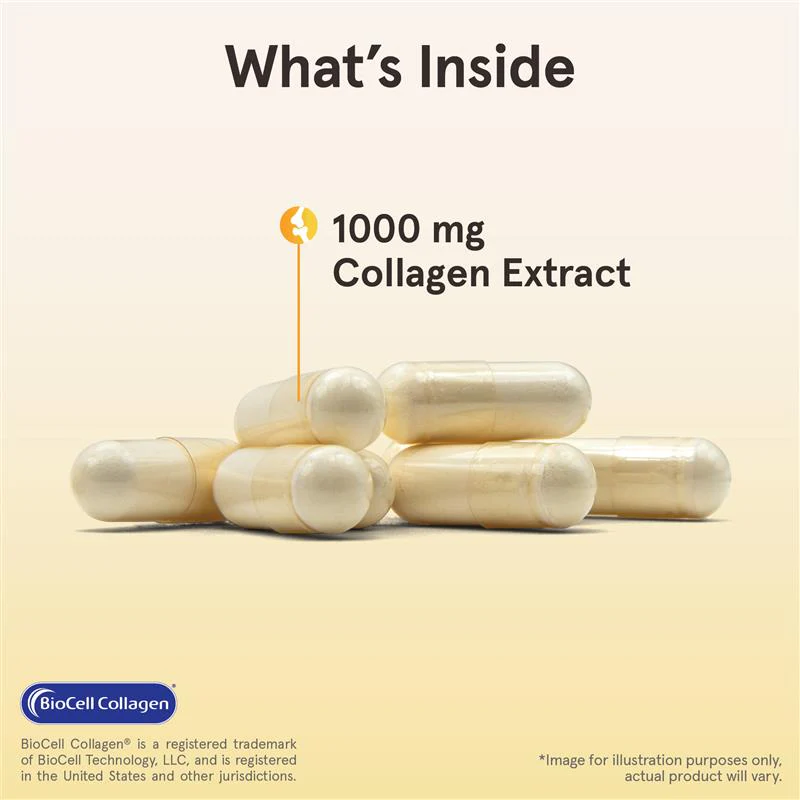 Type II Collagen Complex - Image 4
