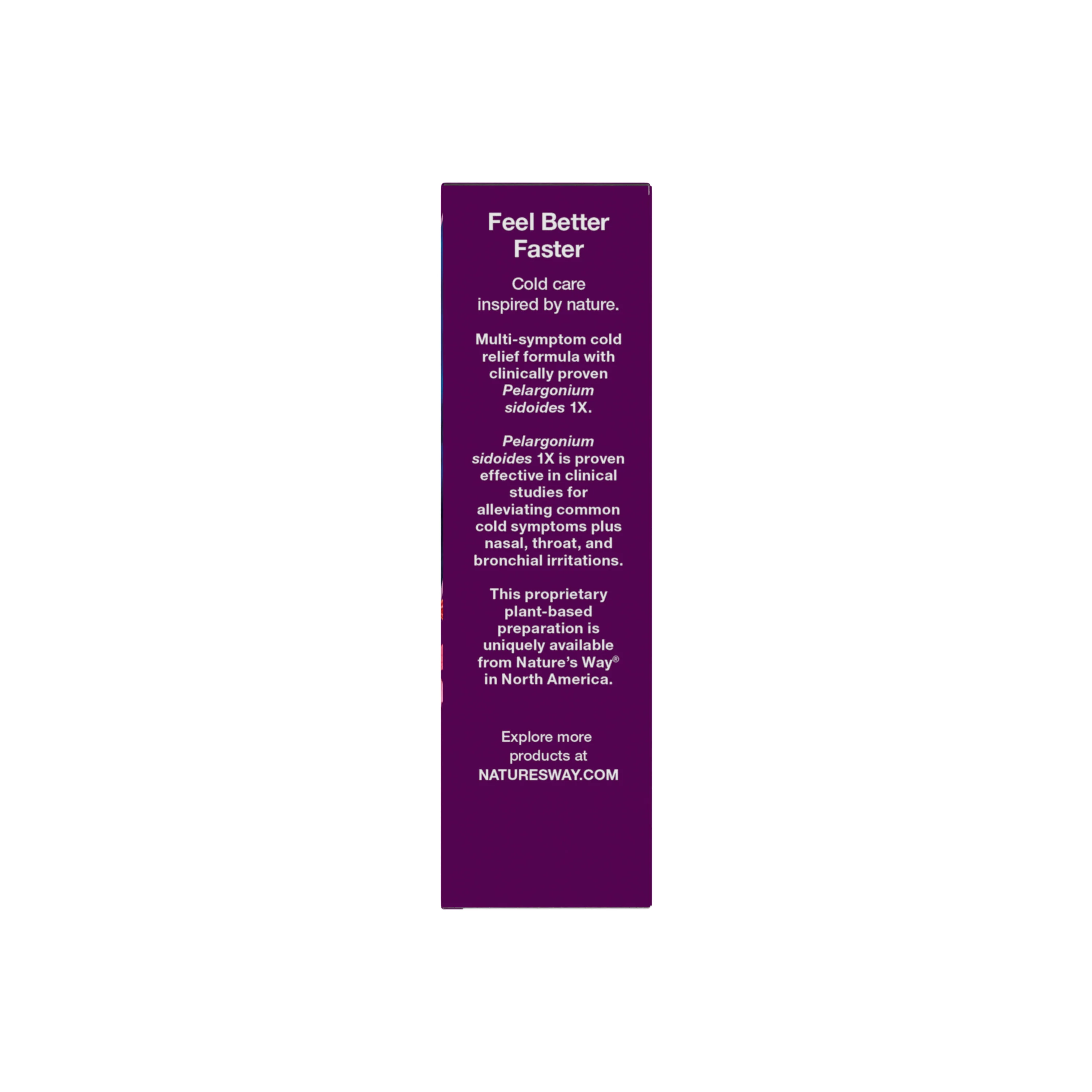 Umcka® Cold Relief Chewables - Image 5