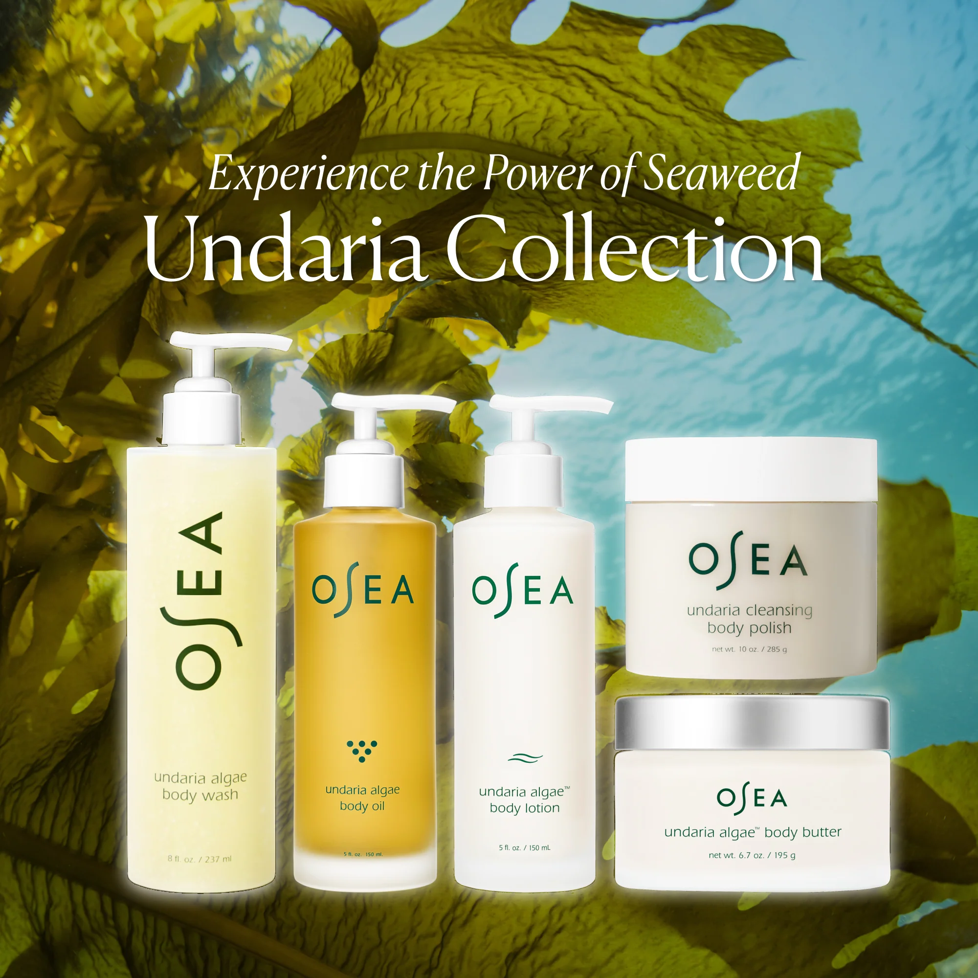 Undaria Algae™ Body Butter - Image 9
