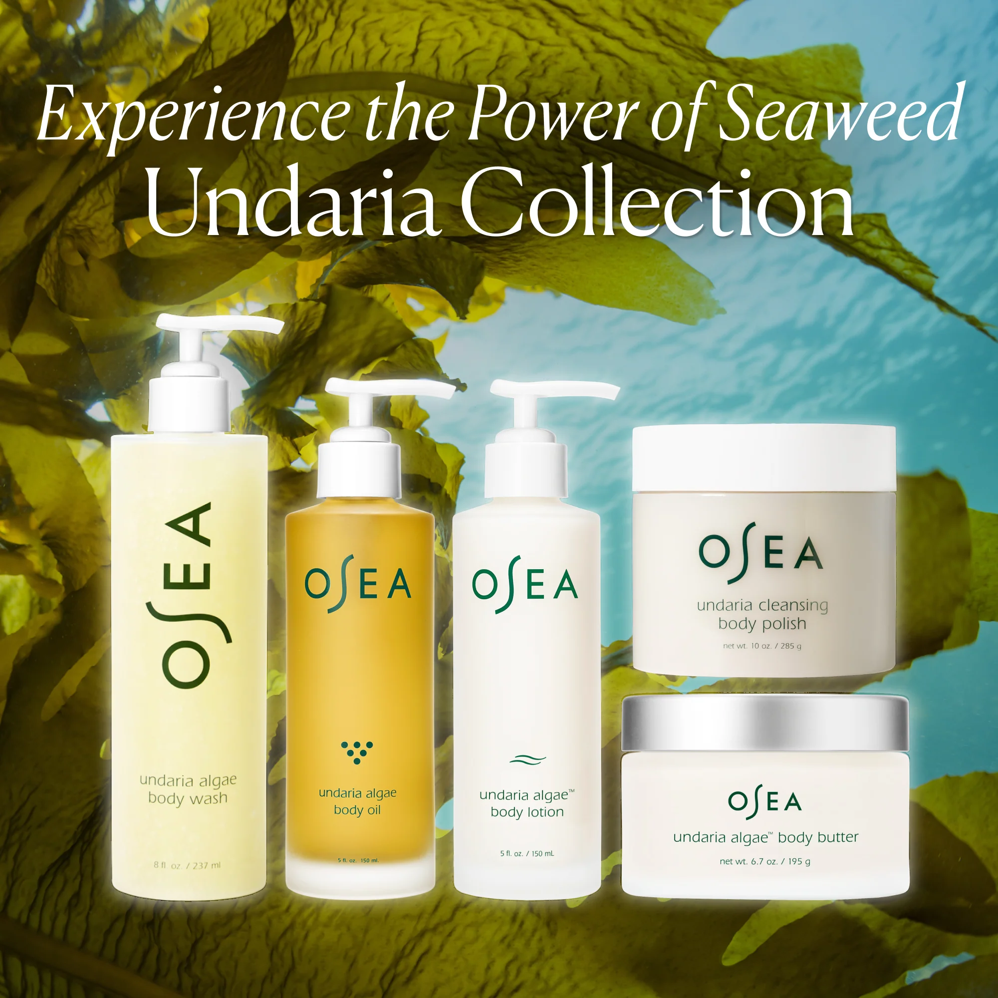 Undaria Algae™ Body Wash - Image 9