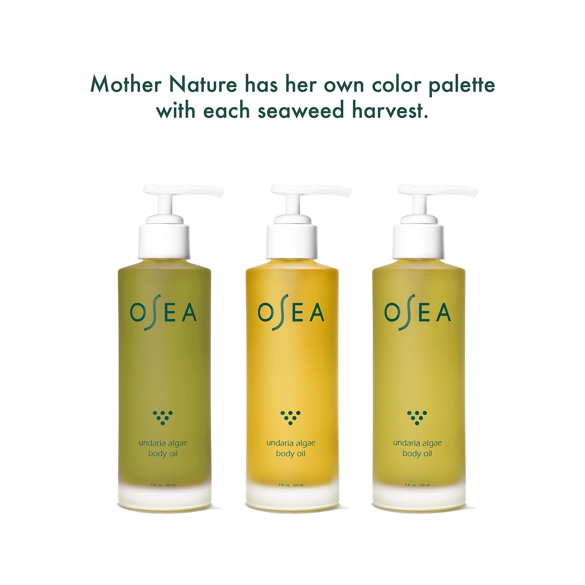 Undaria Algae™ Body Oil - Image 3