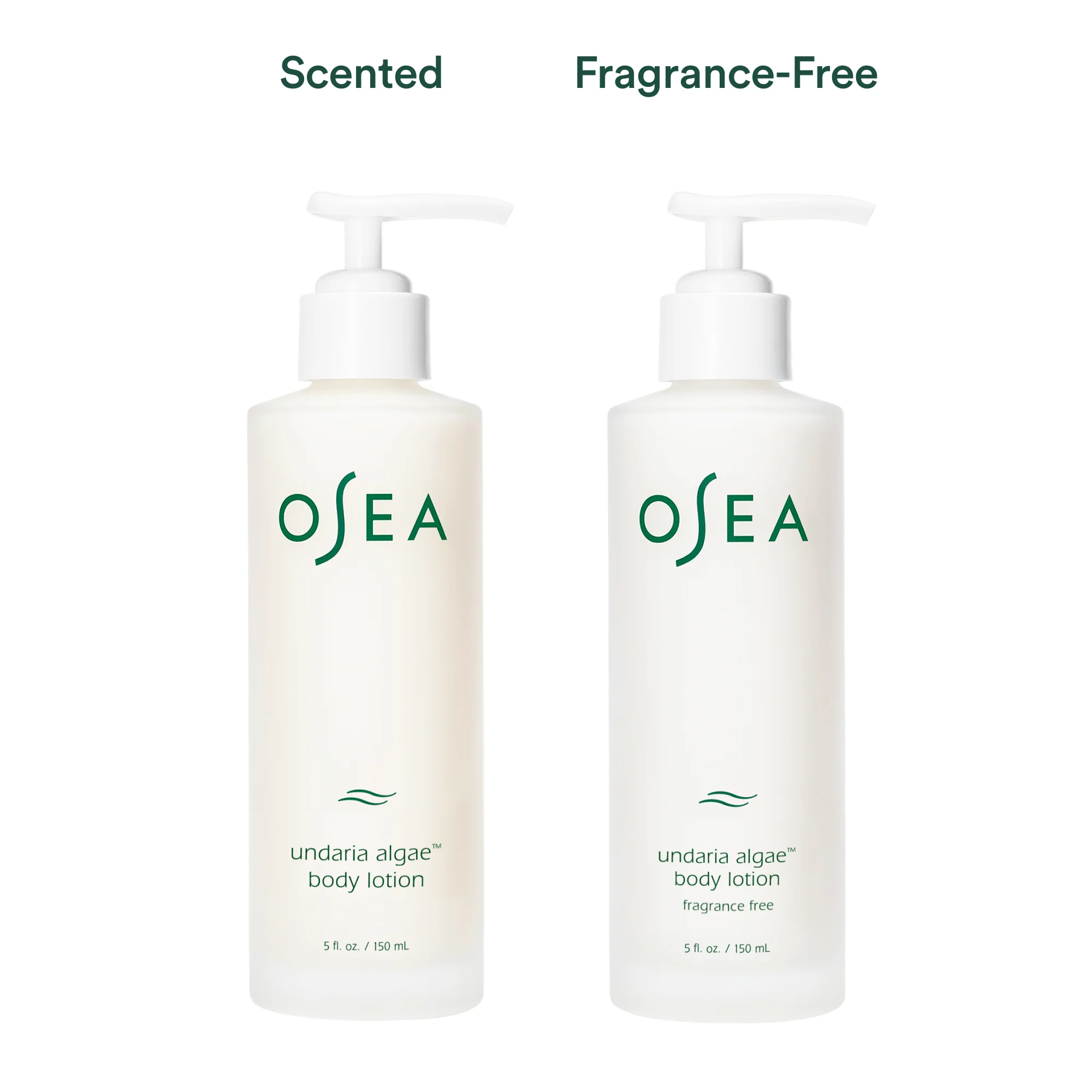 Undaria Algae™ Body Lotion - Image 2