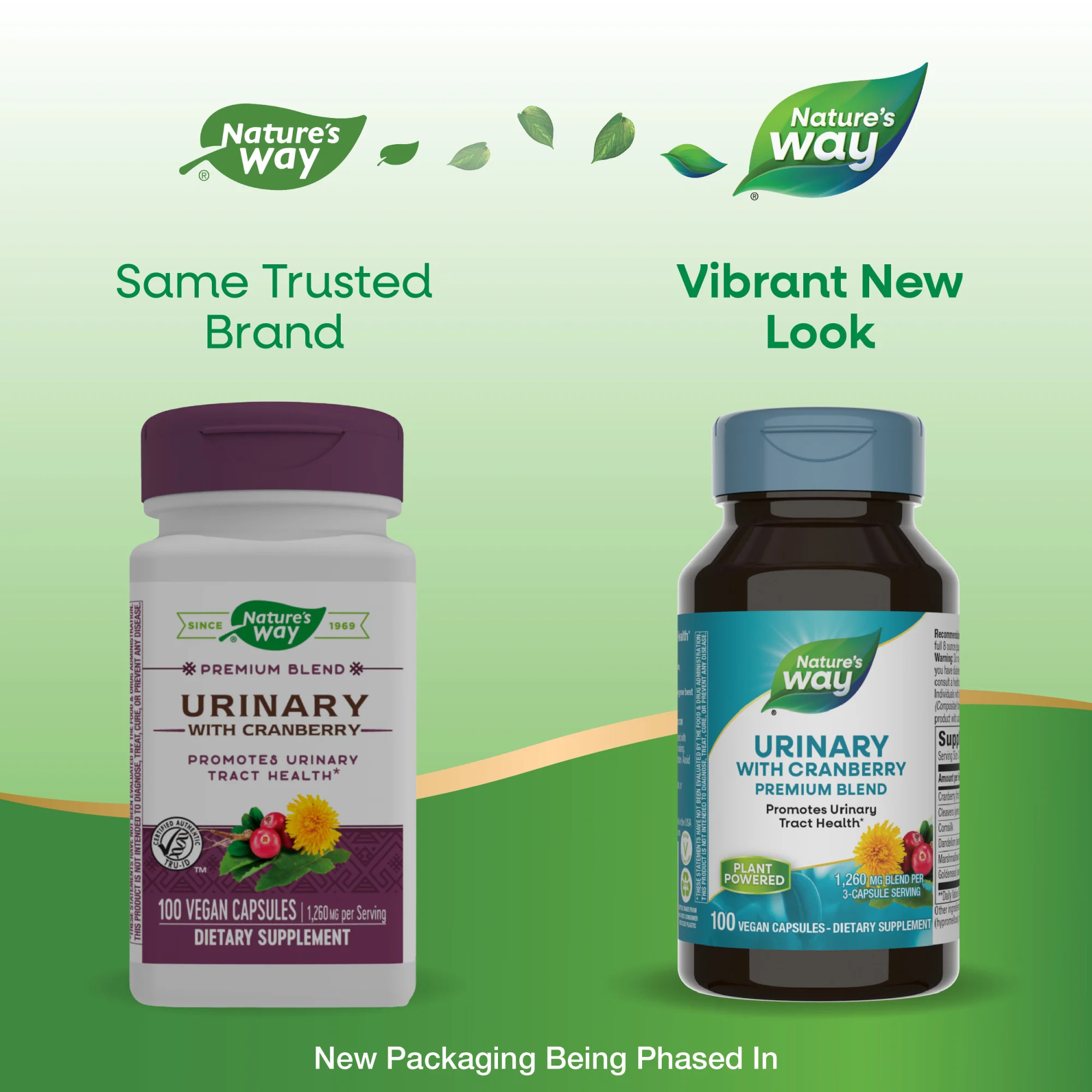 Urinary - Image 5