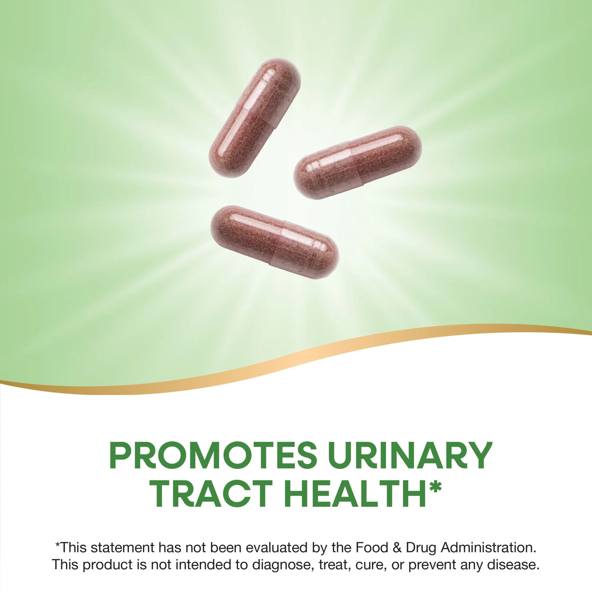 Urinary - Image 7