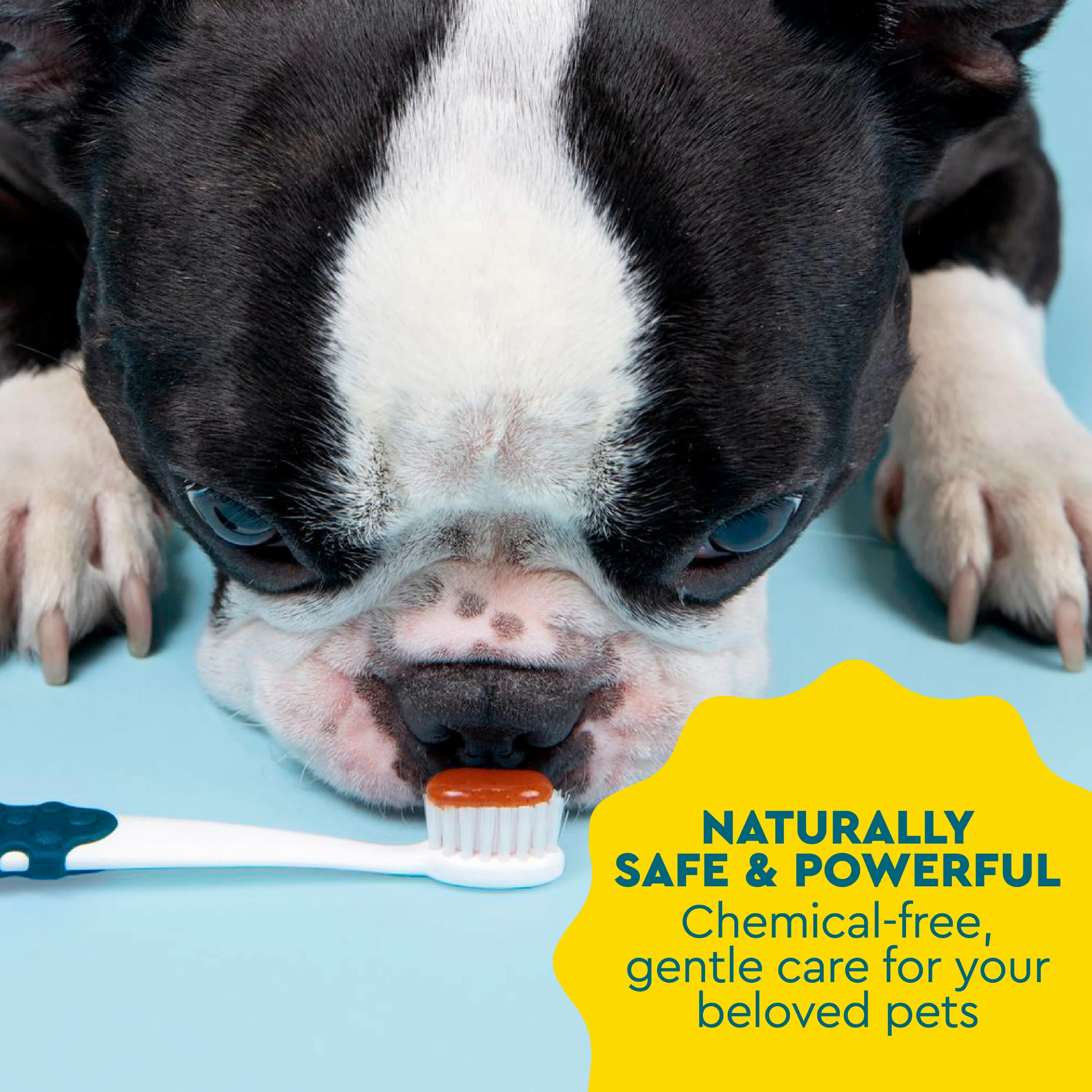 USDA Organic Canine Toothpaste - Image 7