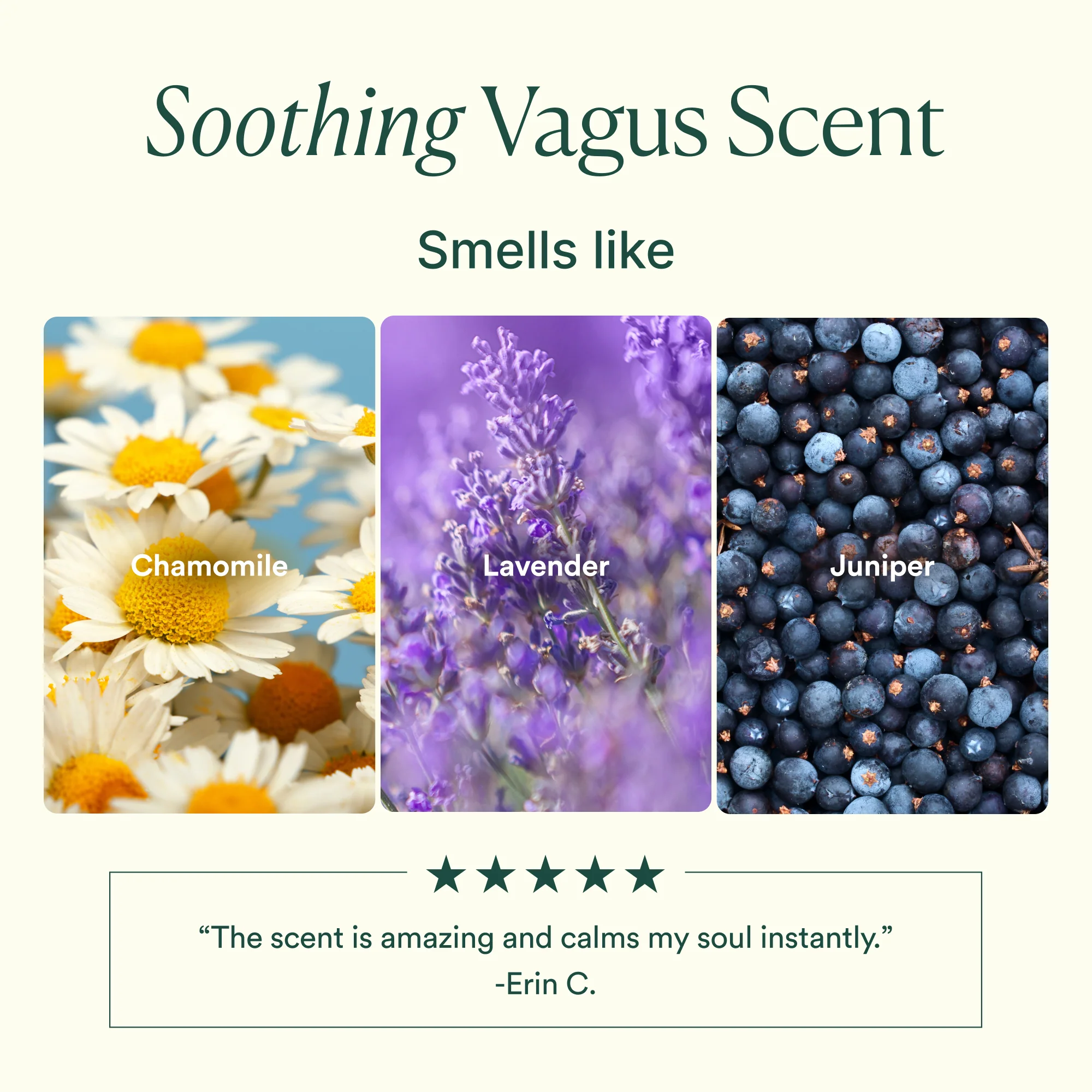 Vagus Nerve Bath Oil - Image 7
