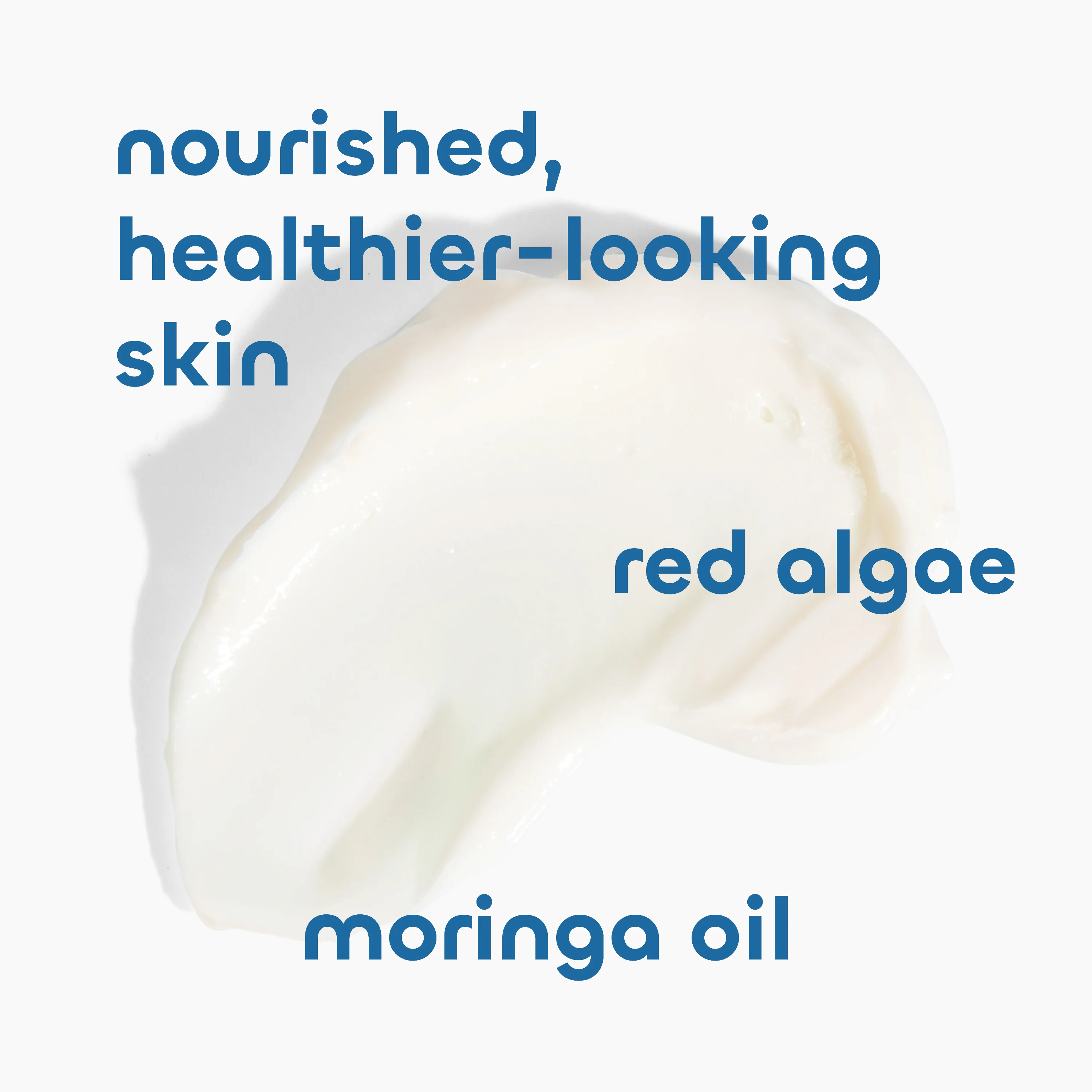 Value Size Daily Lotion - Image 5