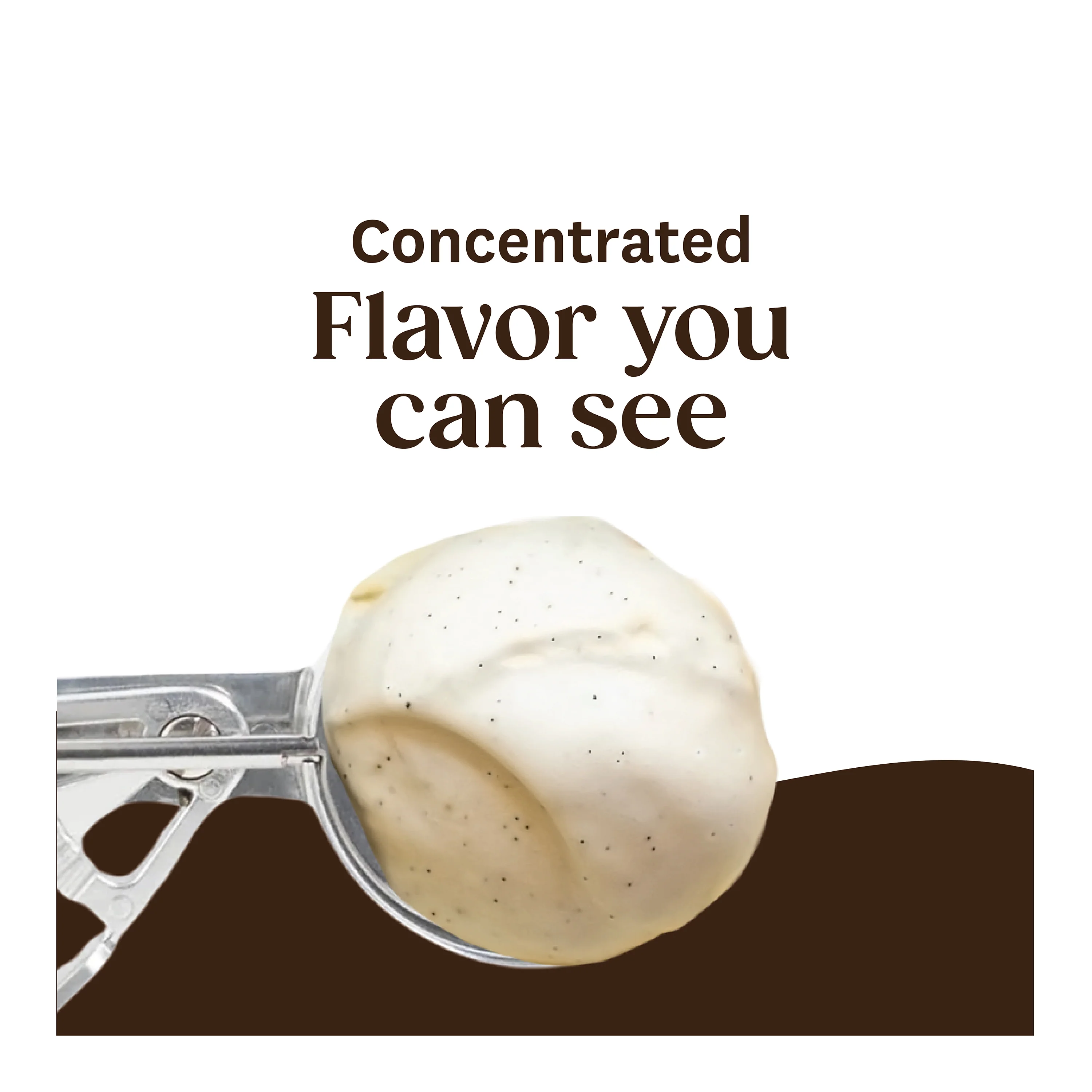 Vanilla Paste - Image 7