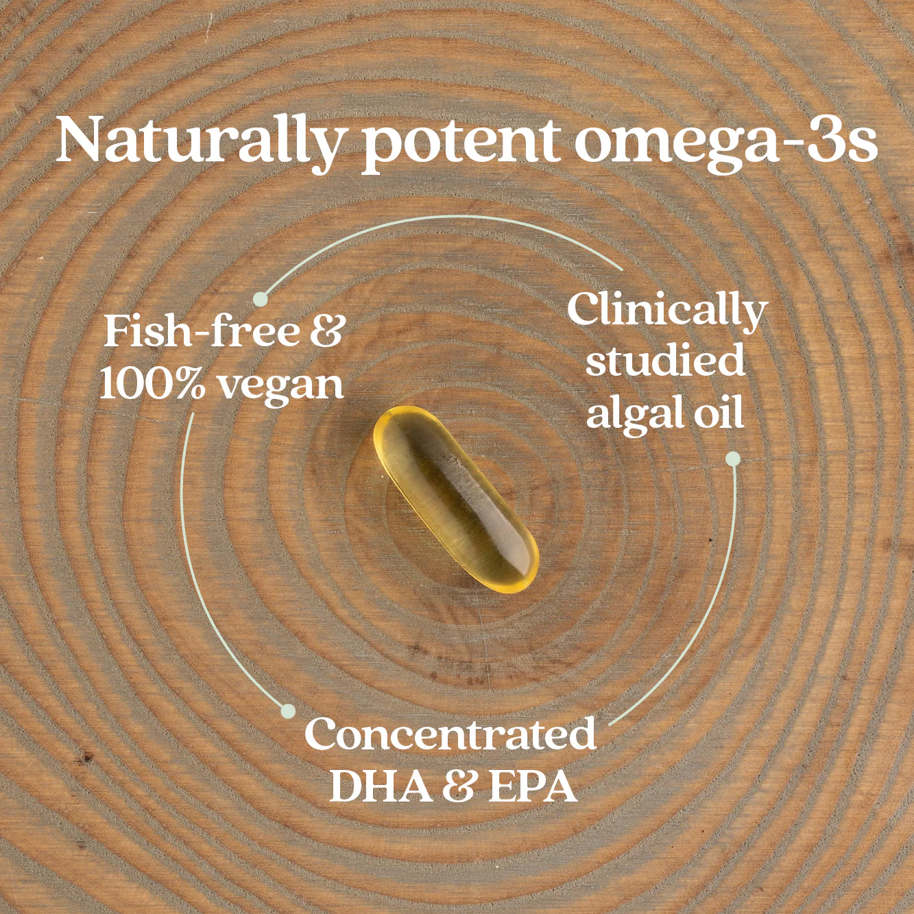 Vegan Omega-3 Complex, Vegan DHA, EPA, and DPA Supplement - Image 12