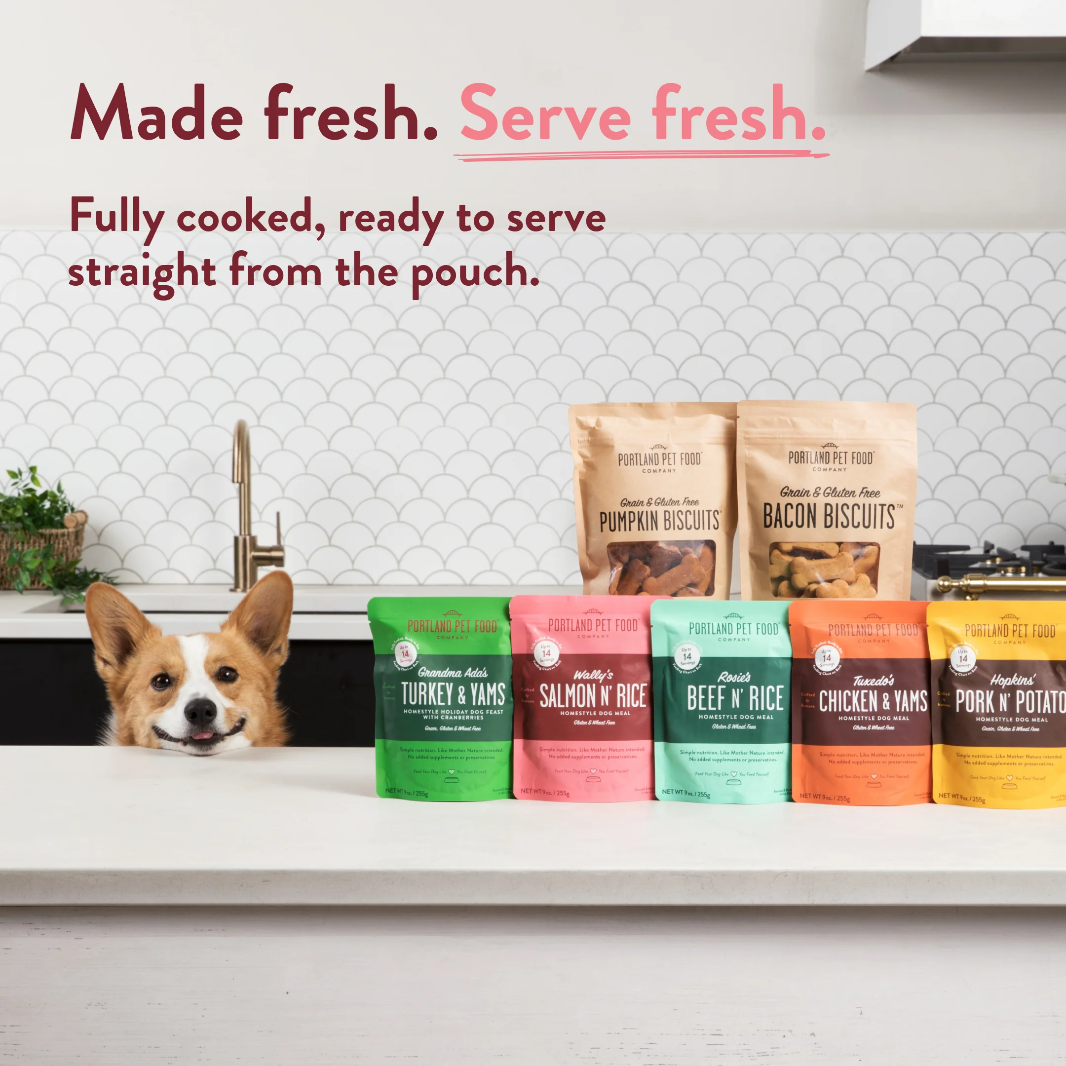 Wally's Salmon N' Rice Human-Grade Dog Meal, Mixer or Meal Topper, 9 oz Pouch - Single - Image 11
