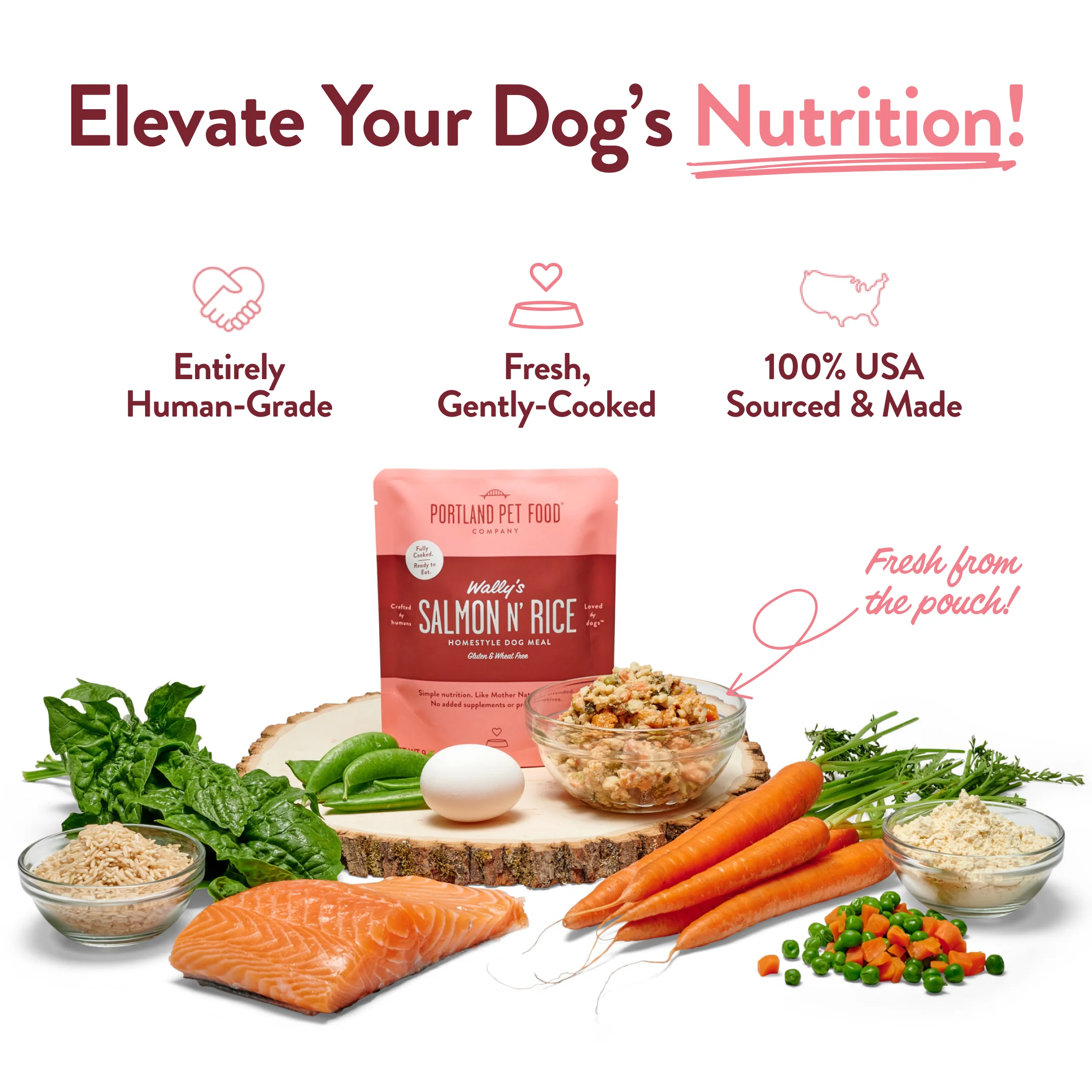 Wally's Salmon N' Rice Human-Grade Dog Meal, Mixer or Meal Topper, 9 oz Pouch - Single - Image 8