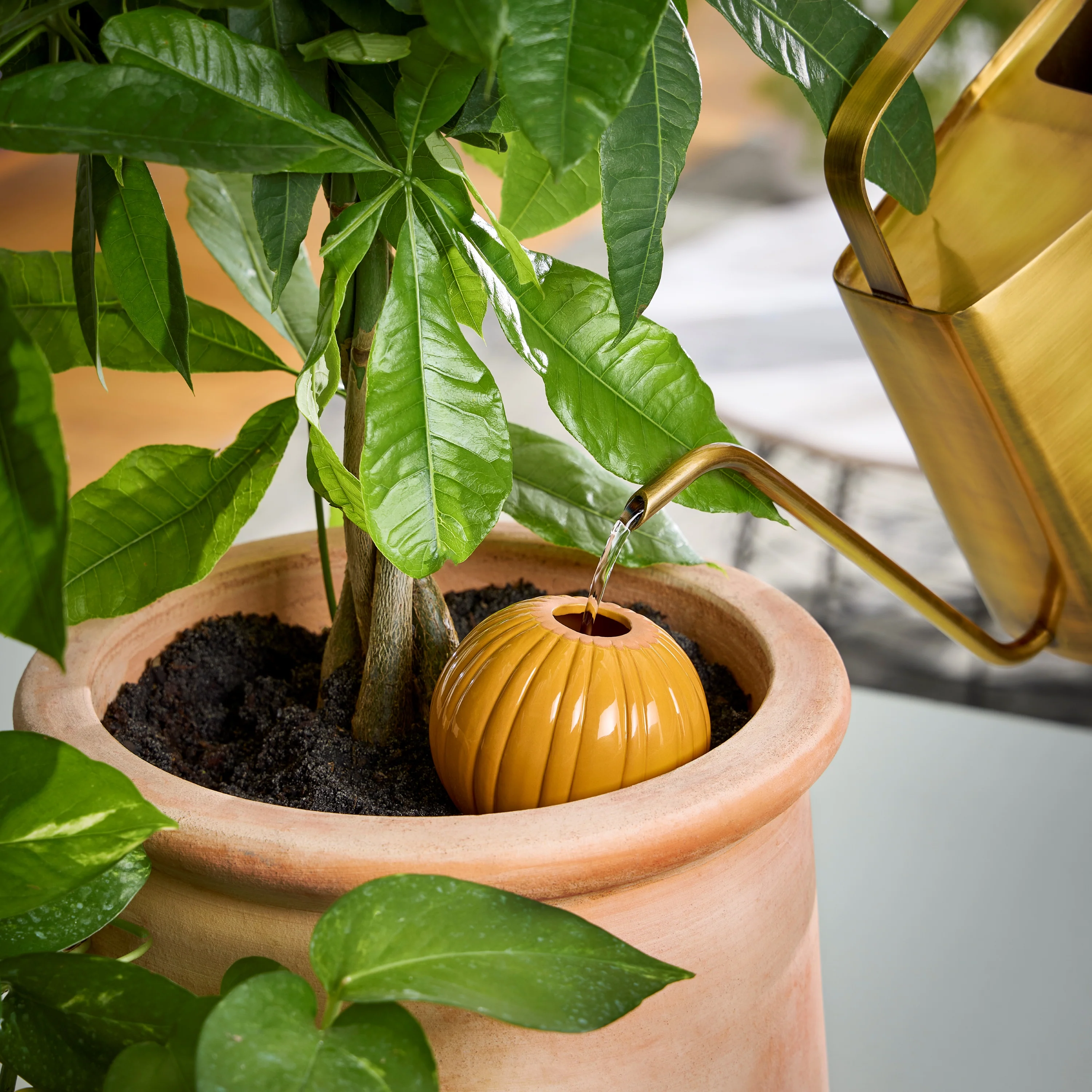 Watering Bulb - Image 11