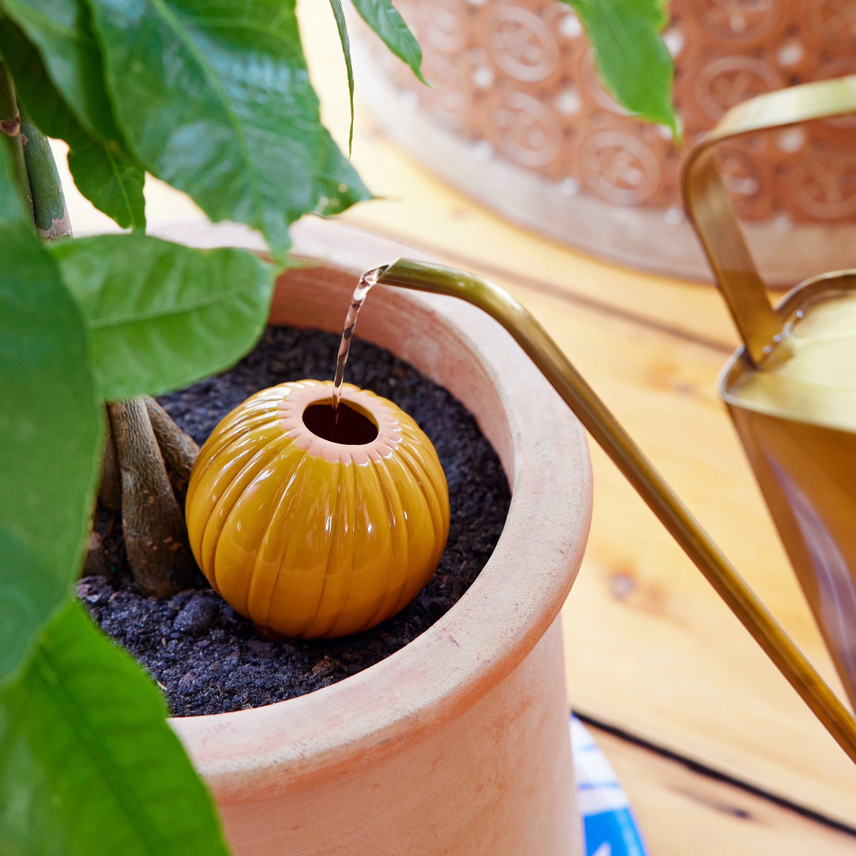 Watering Bulb - Image 13