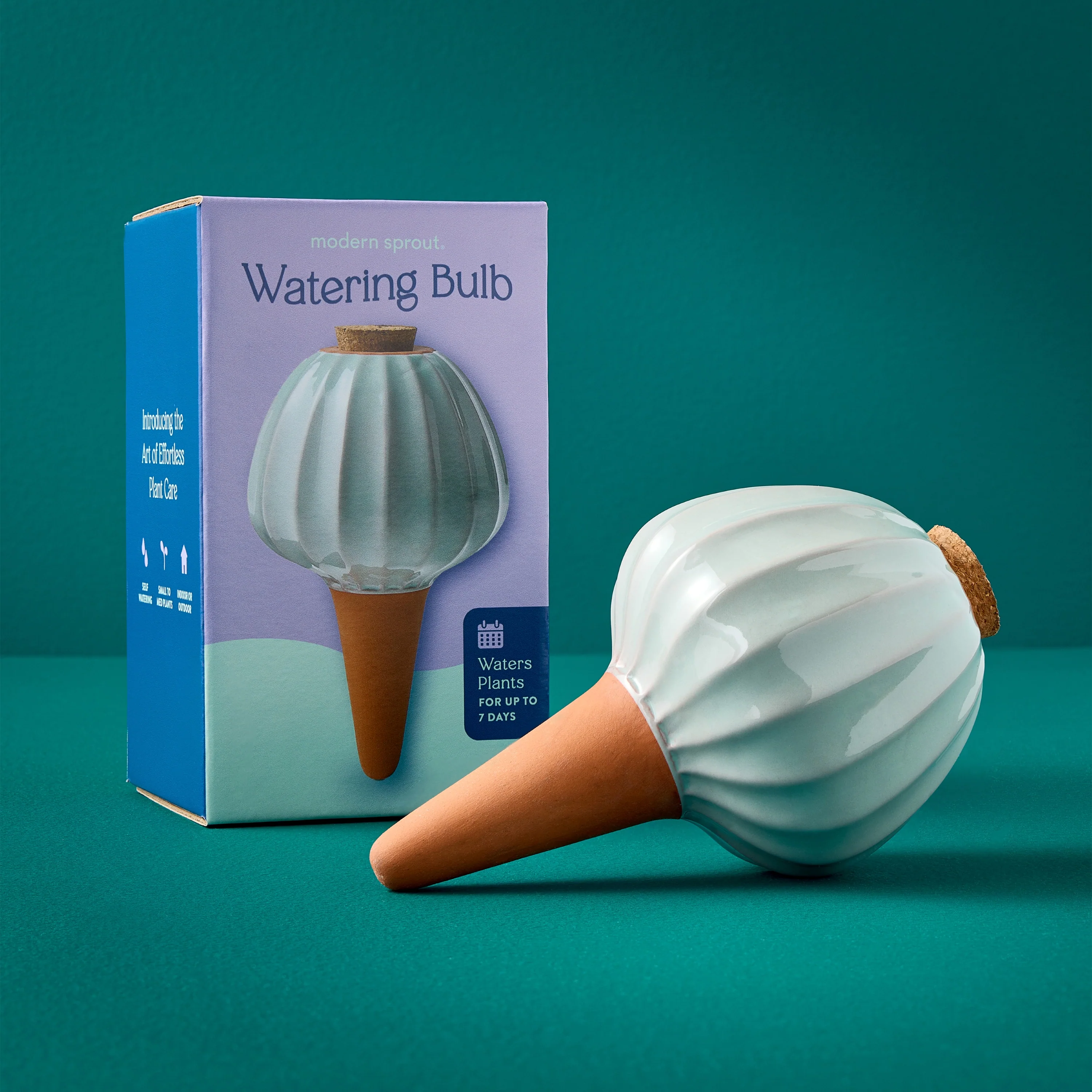 Watering Bulb - Image 19