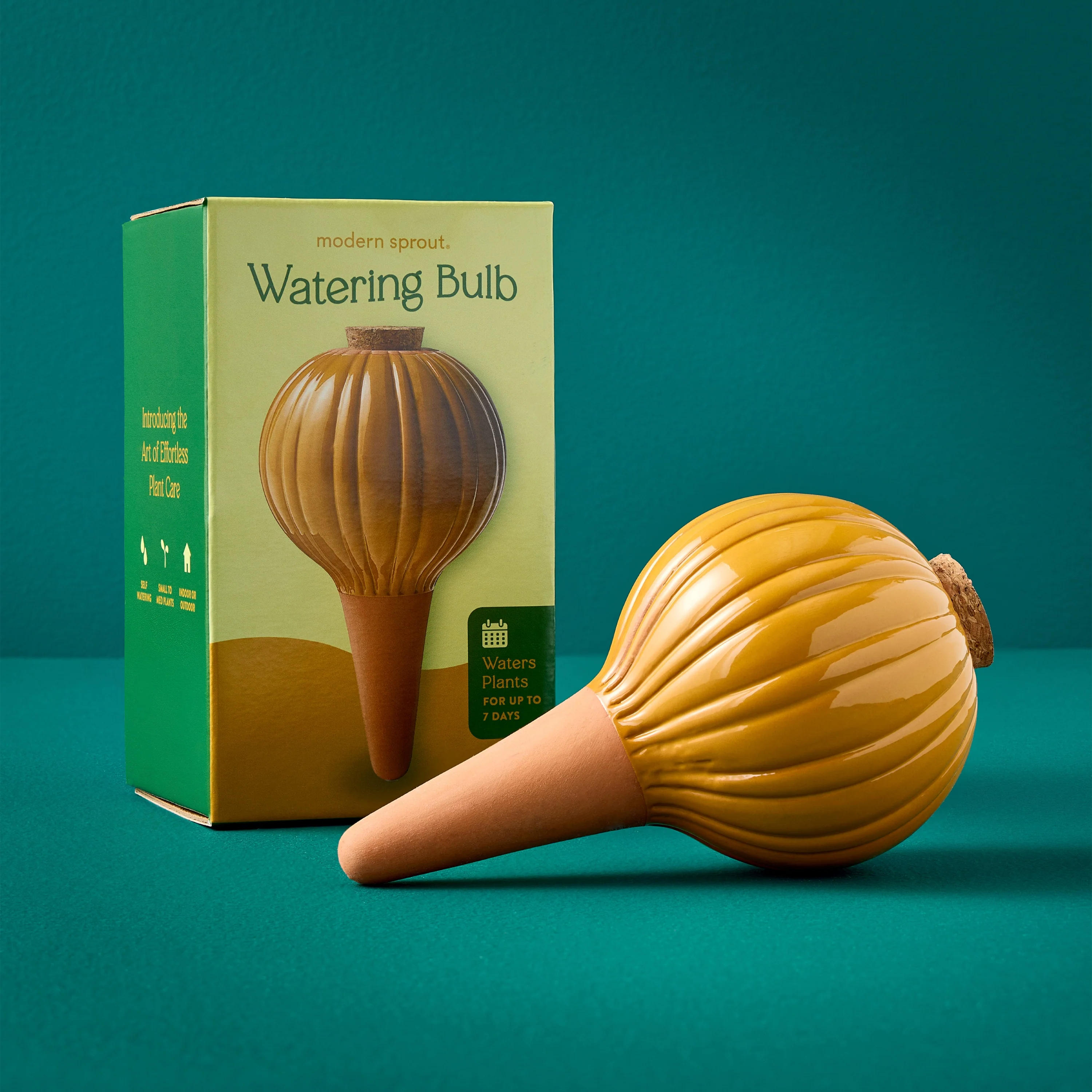 Watering Bulb - Image 9