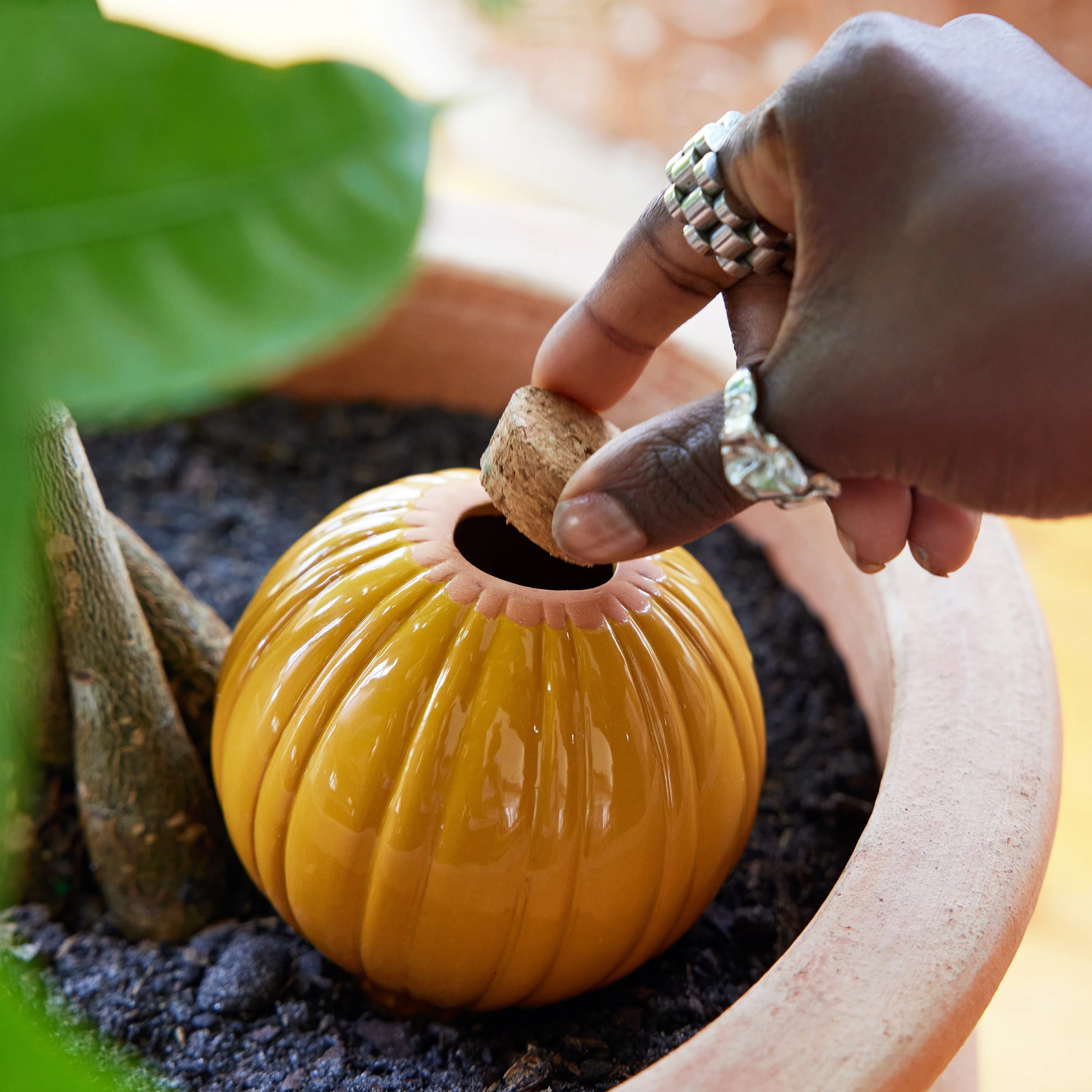 Watering Bulb - Image 14