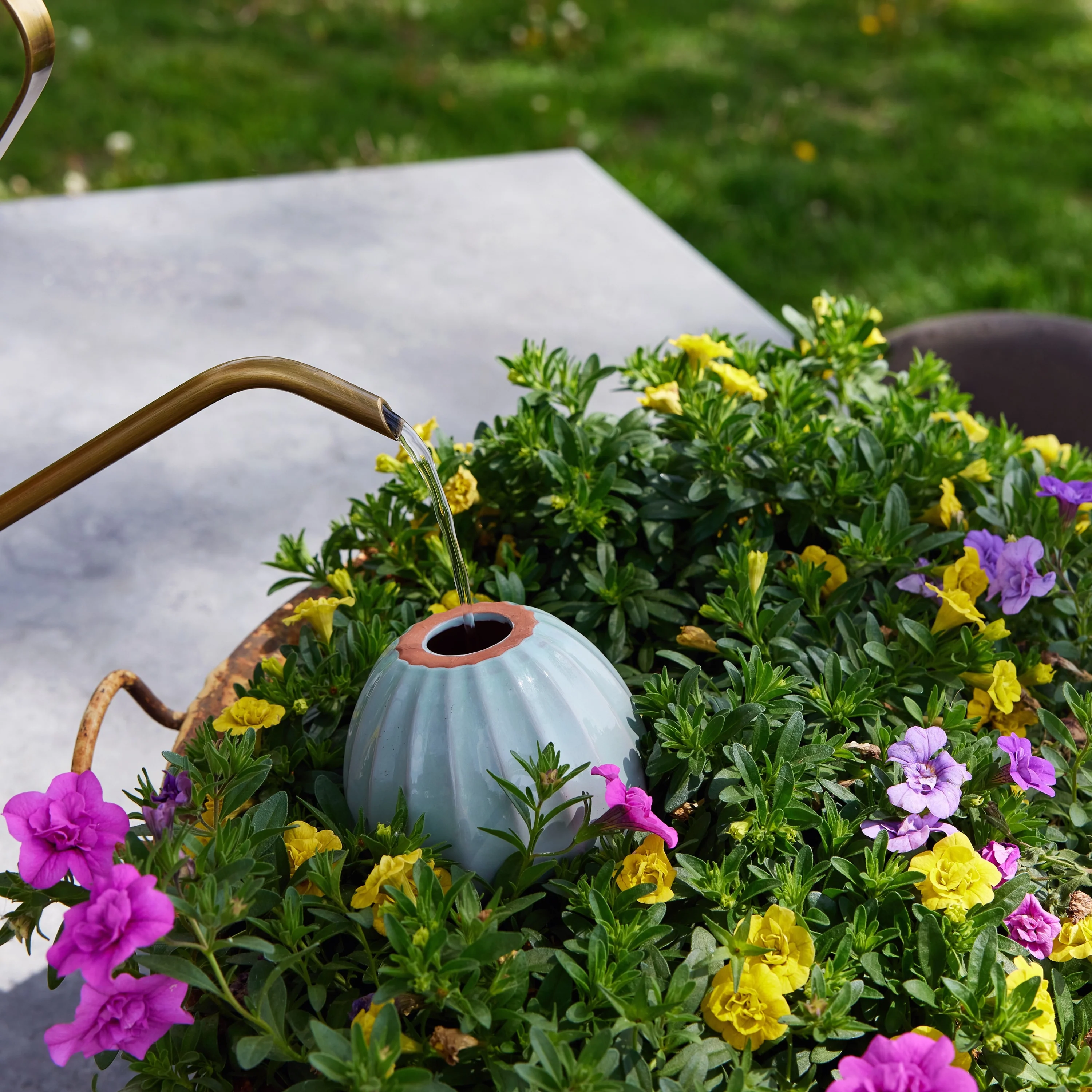 Watering Bulb - Image 23