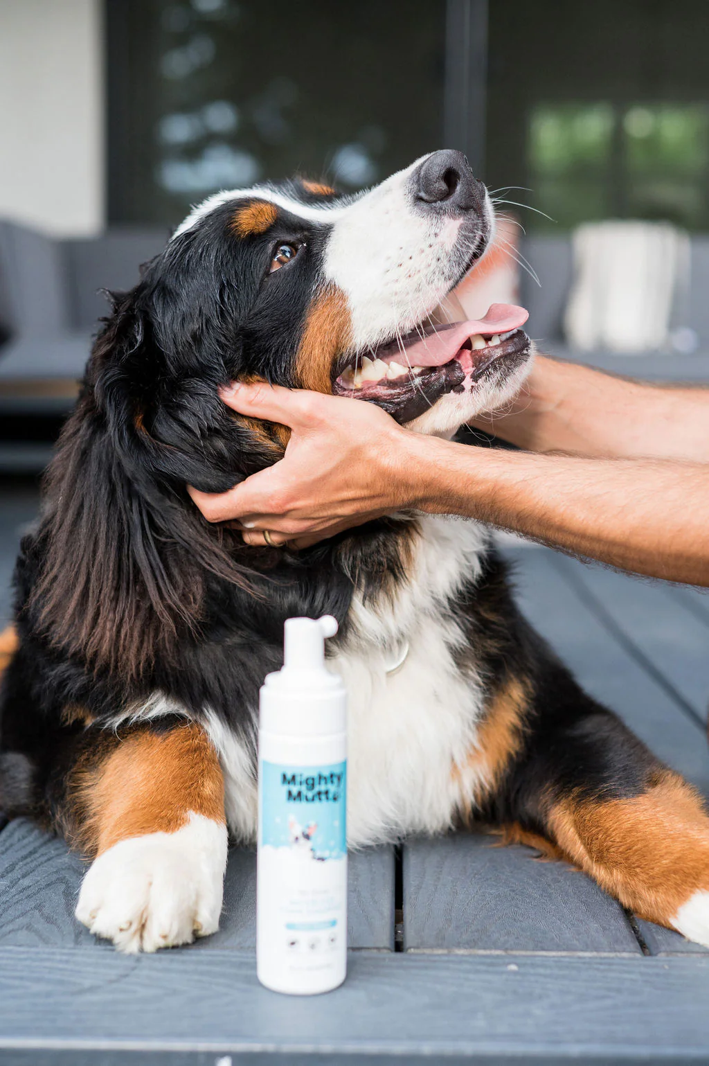 Waterless Foam Pet Shampoo Refill - Image 2