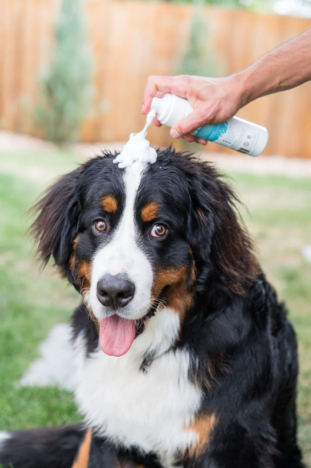 Waterless Foam Pet Shampoo - Image 2
