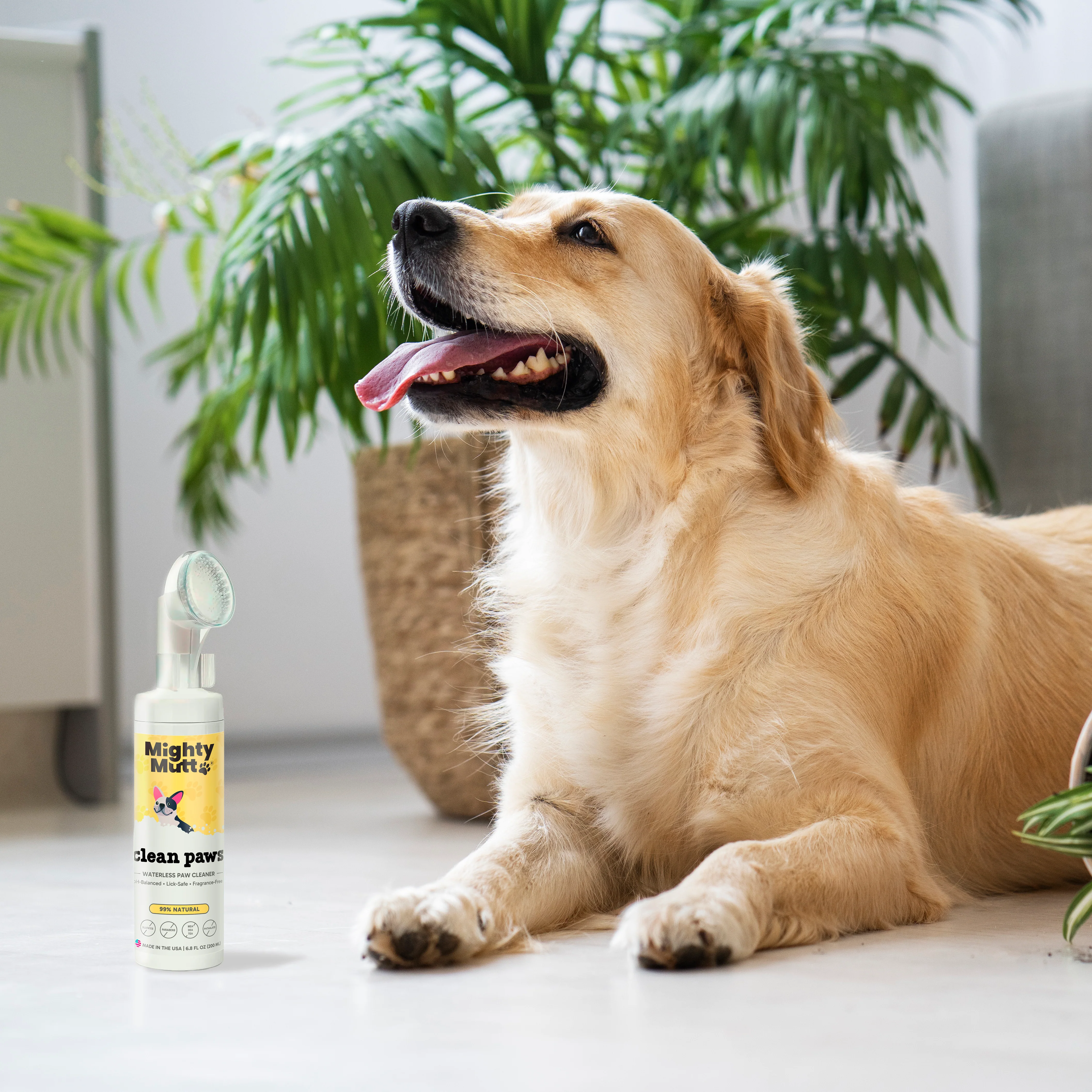 Waterless Foaming Paw Cleaner for Dogs - Image 7