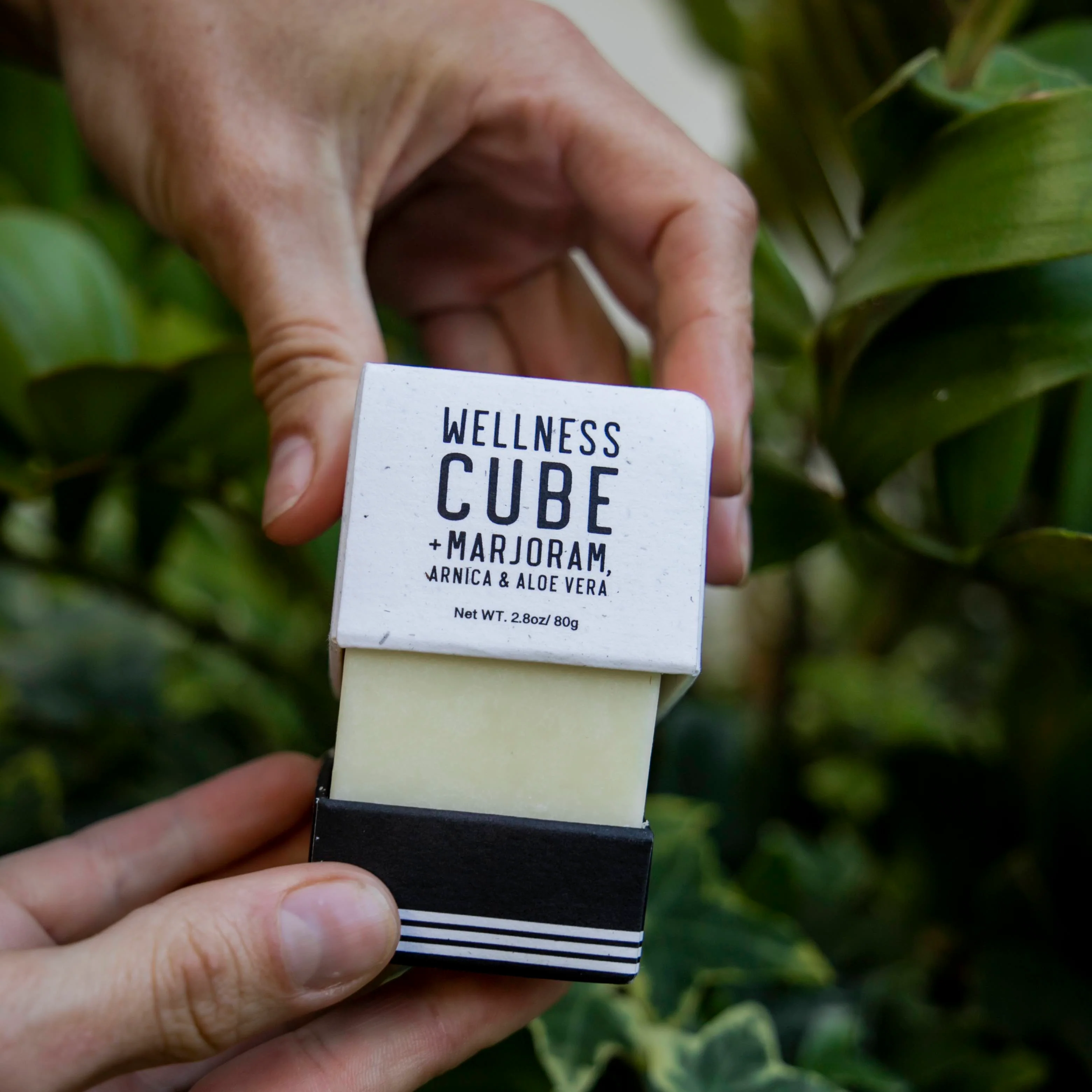 Wellness Cube - Image 4