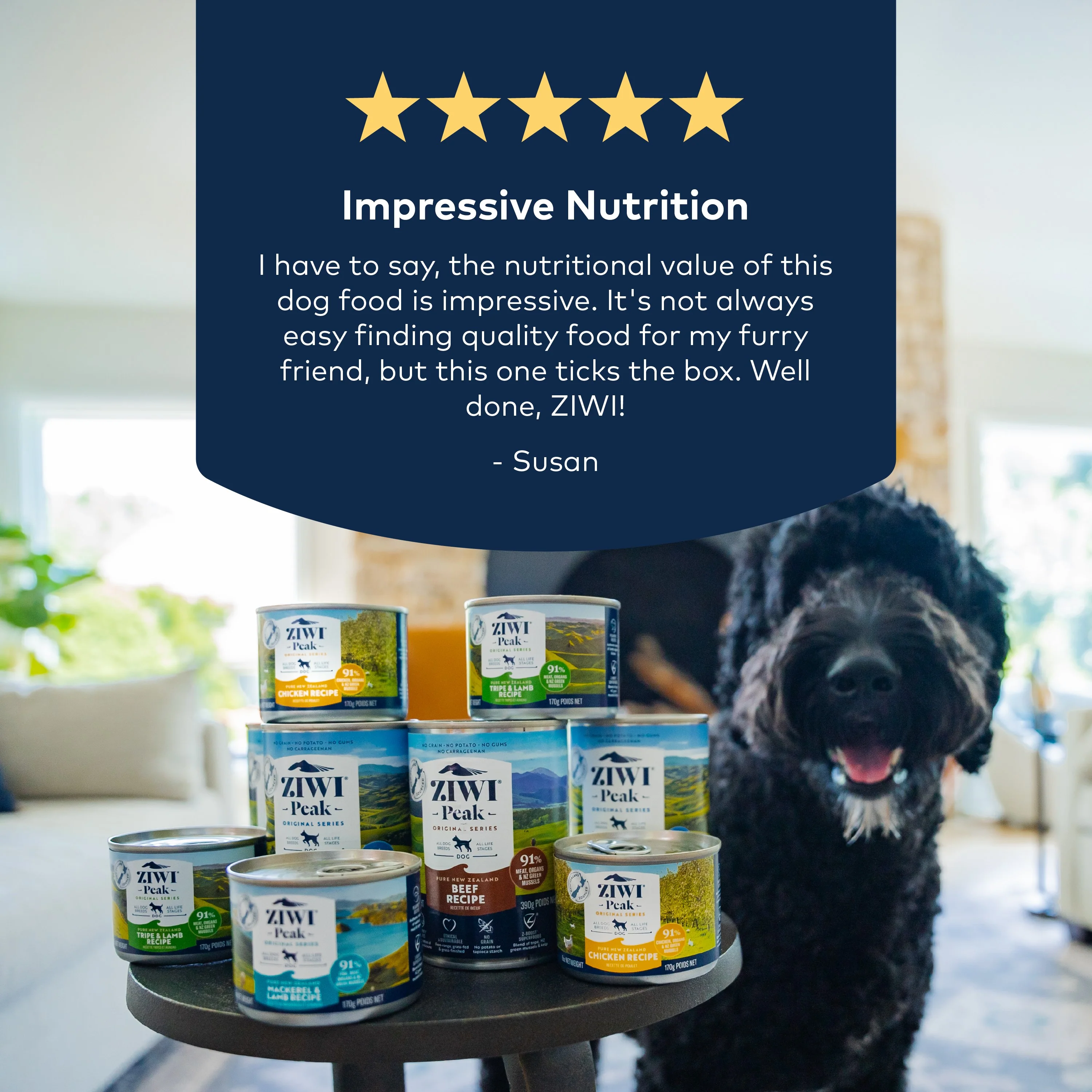 Canned Wet Dog Food – All Natural, High Protein, Grain Free, Limited Ingredient, with Superfoods - Image 6