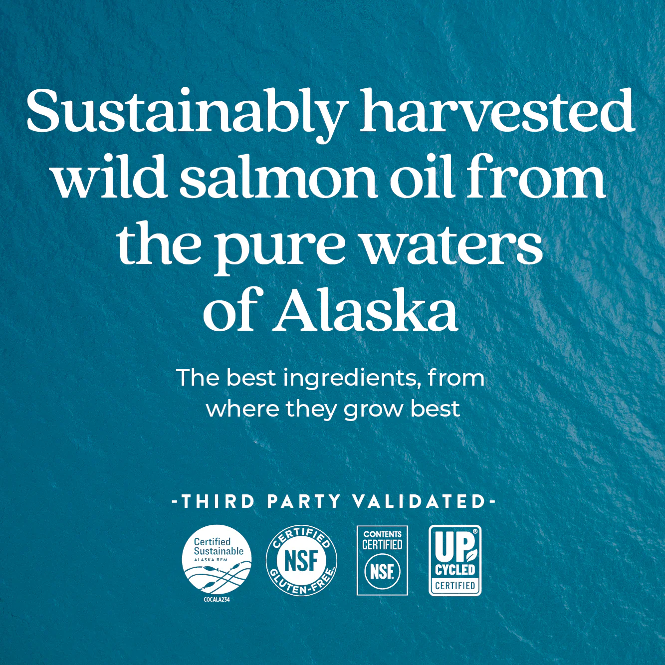 Wholemega™  Fish Oil (Gift) - Image 9