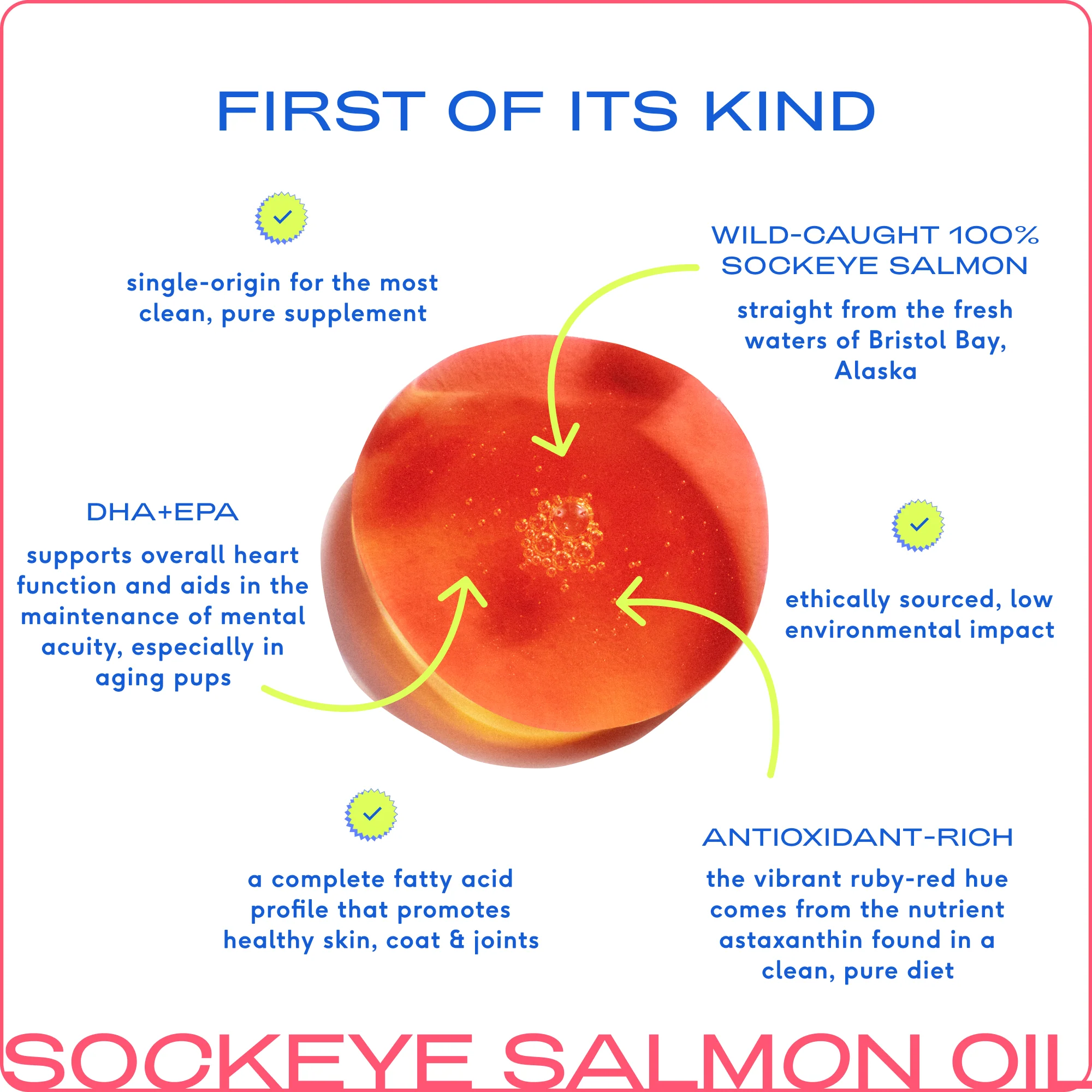 Wild-Caught Alaskan Sockeye Salmon Oil - Image 6