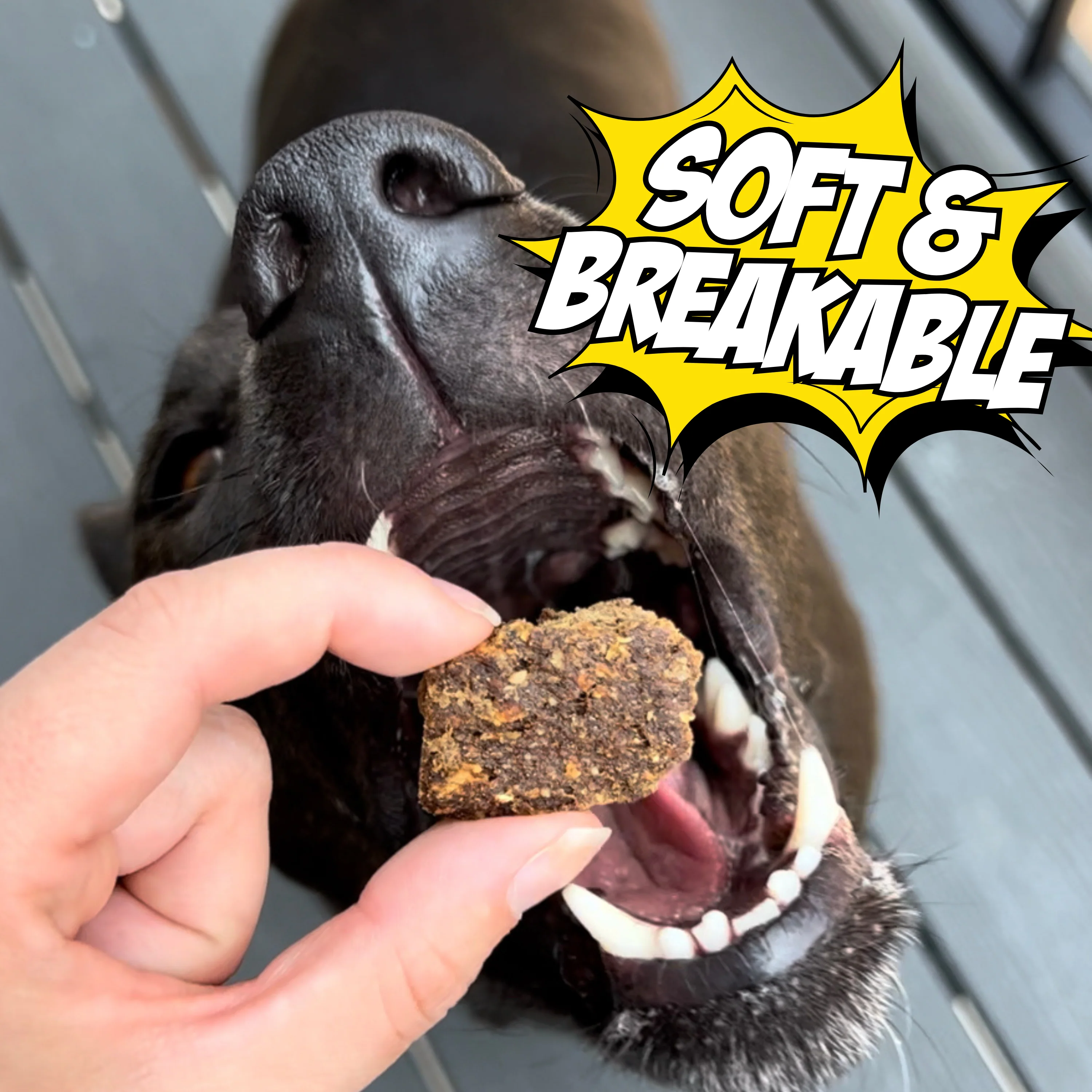 Wild-Caught Fish & Pumpkin Dog Treats - Image 8