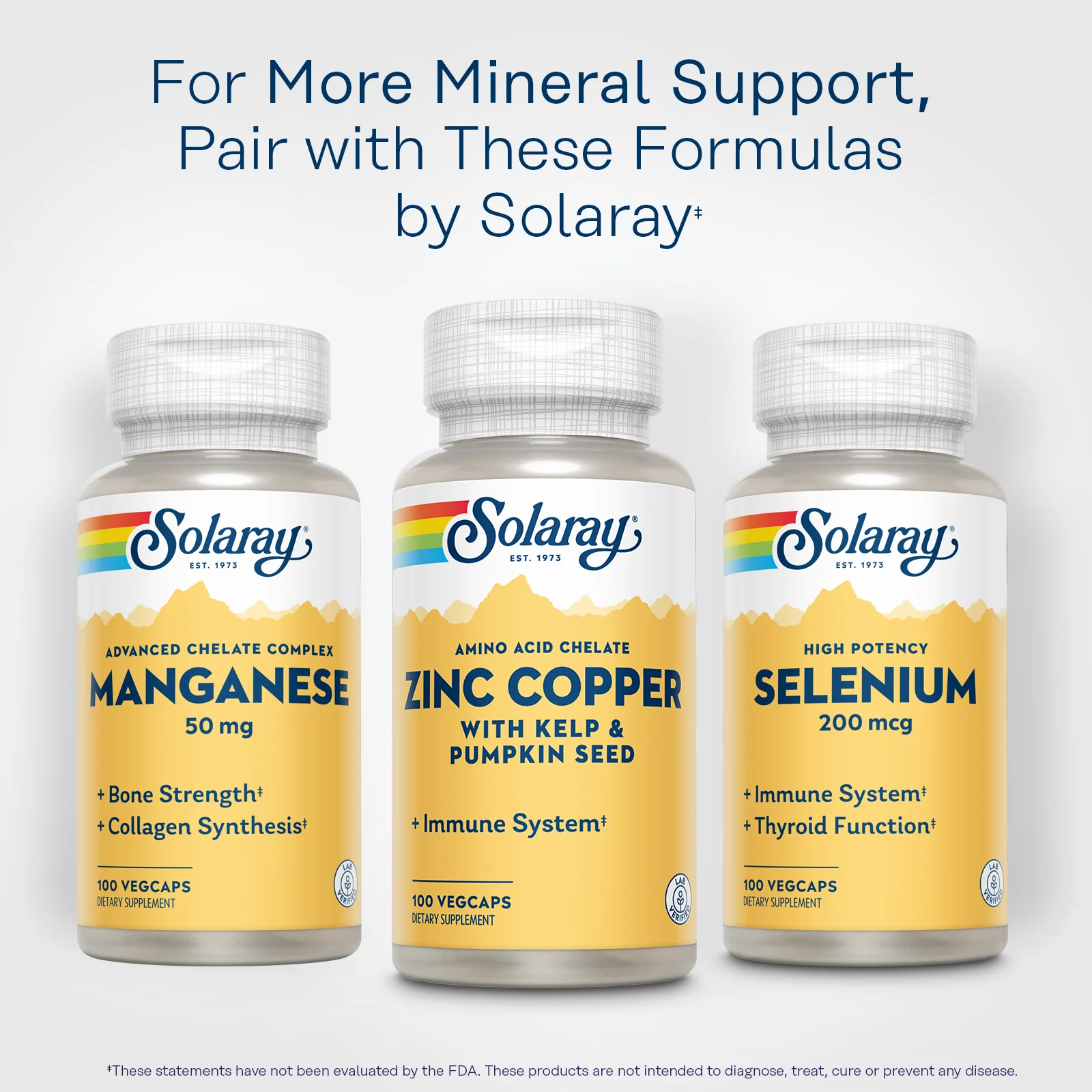 Zinc Copper Amino Acid Chelate with Kelp & Pumpkin Seed - Image 3