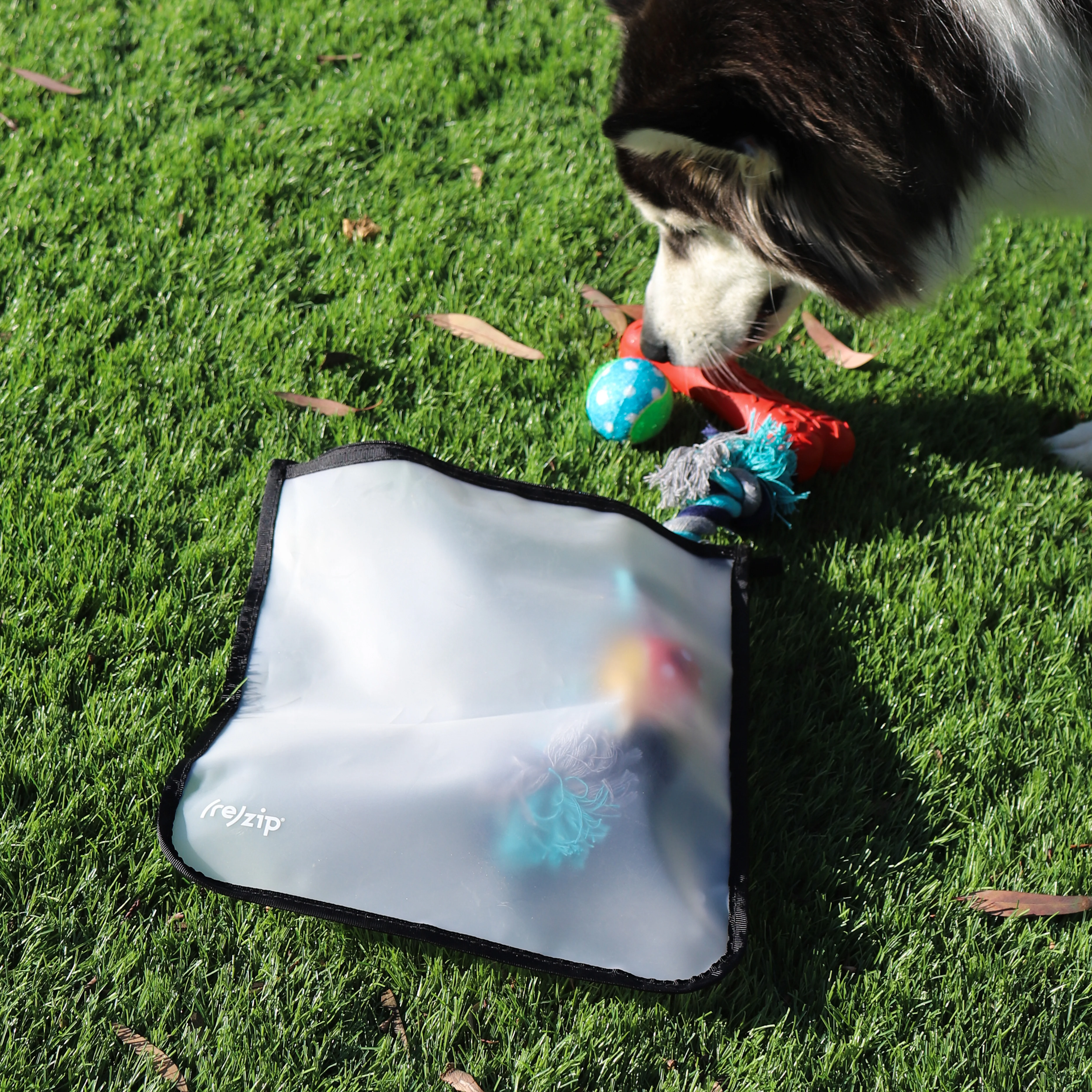 Zippered Gallon Bag - Image 5