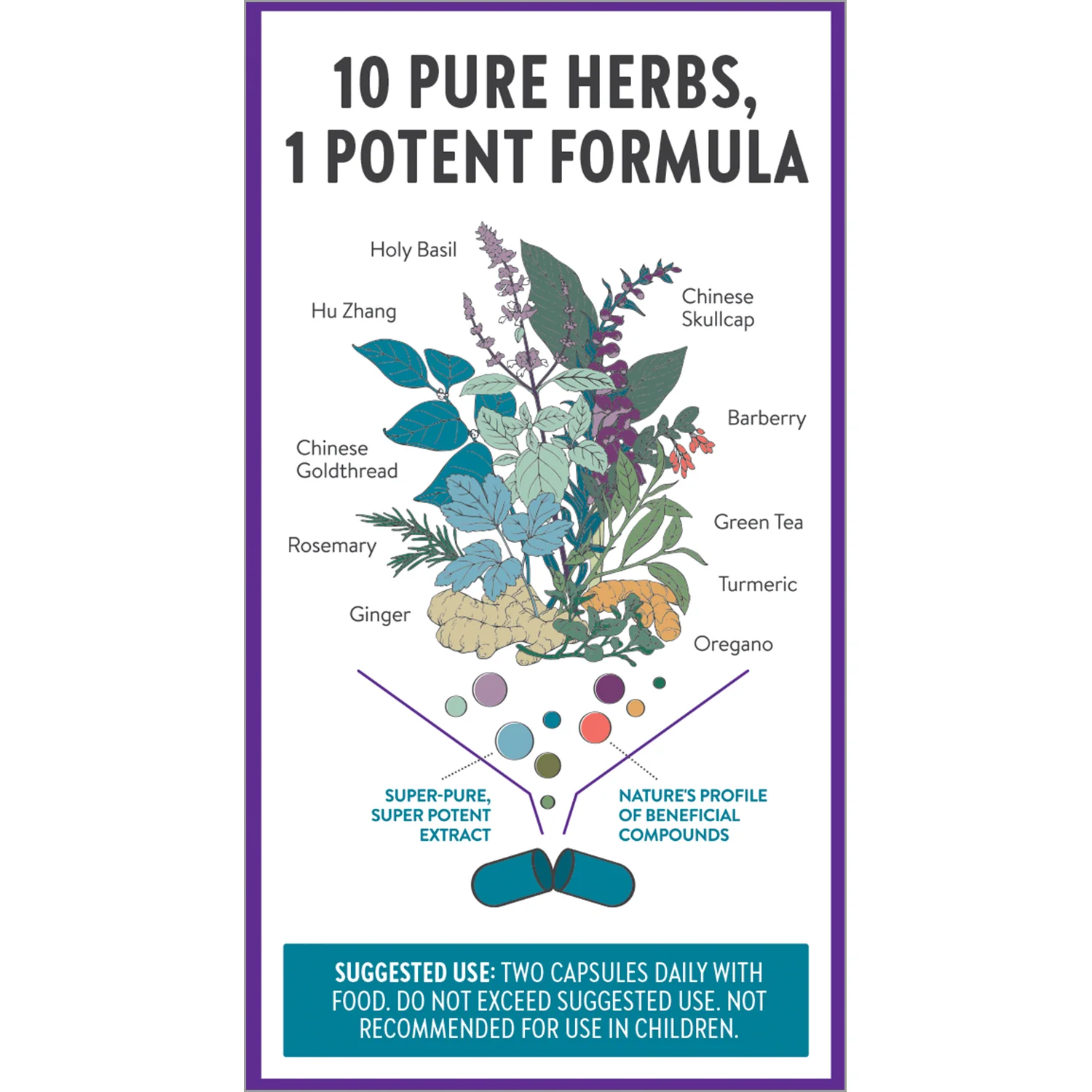 Zyflamend™ Herbal Pain Relief, Healthy Inflammation & Joint Support - Image 13